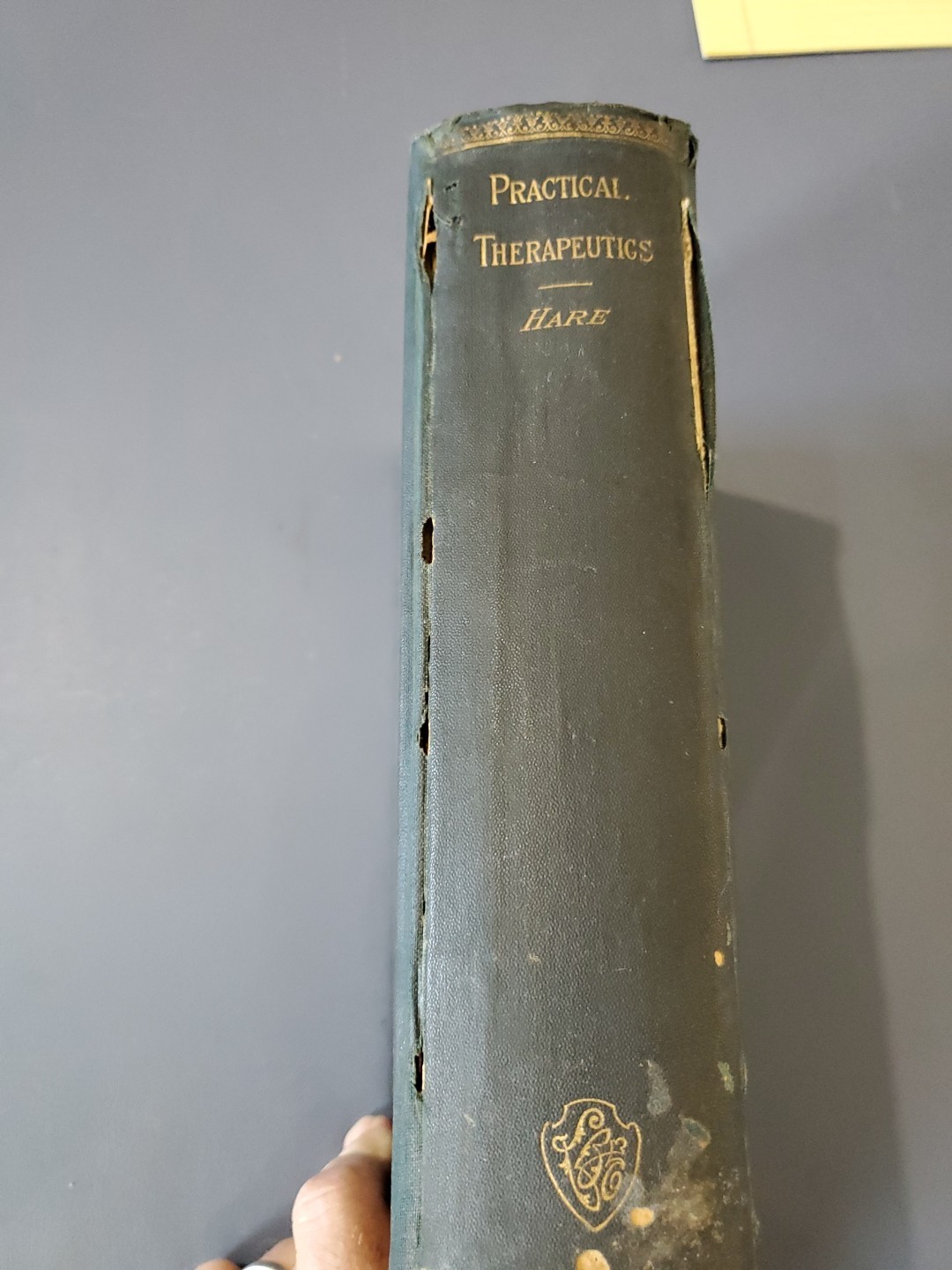 Practical Therapeutics By Hobart Hare 1895 Lea Brothers 5th Edition