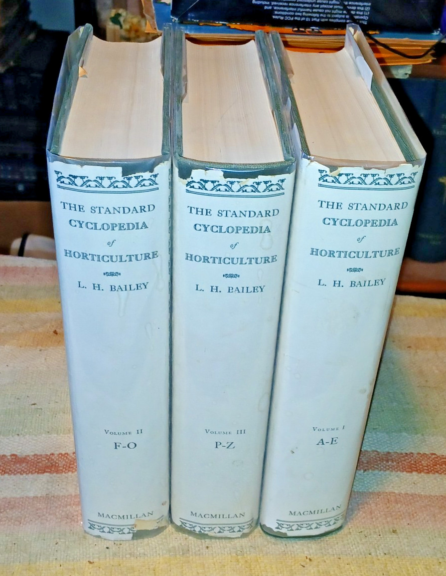 STANDARD CYCLOPEDIA OF HORTICULTURE 3 Vol. 3500ppHc Dj by L.H.Bailey 1928