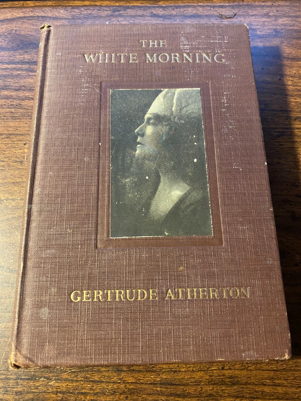 Vintage 1918 THE WHITE MORNING by Gertrude Atherton Frederick Stokes 1st Edition