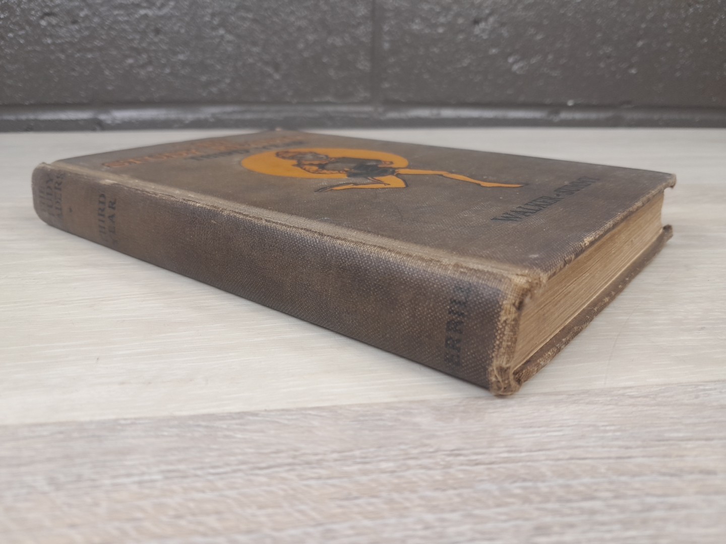 1926 The Study Readers Third Year By Alberta Walker HC First Edition