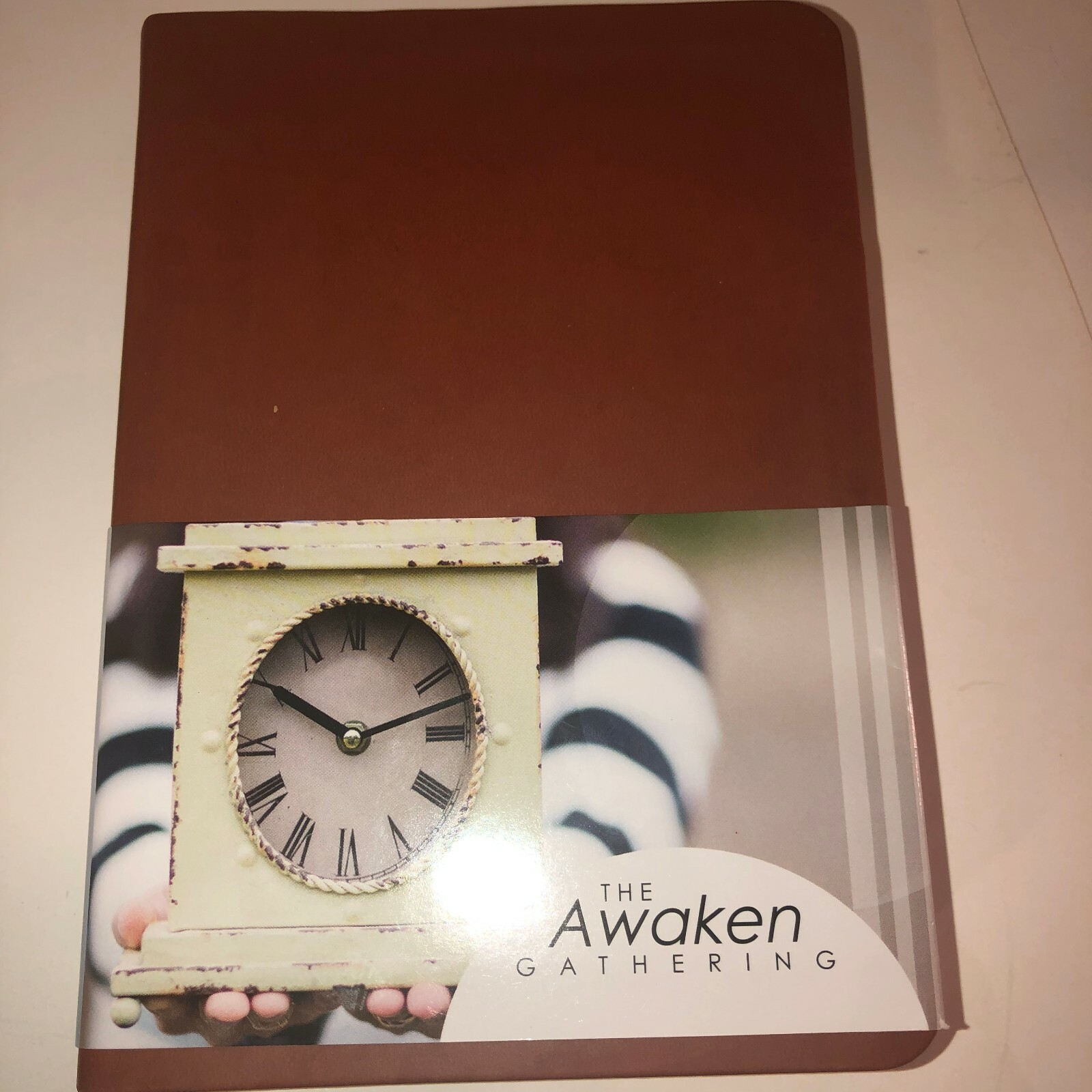 New The Awake Holman Christian Standard Bible Tan Brown Leather touch Red Letter