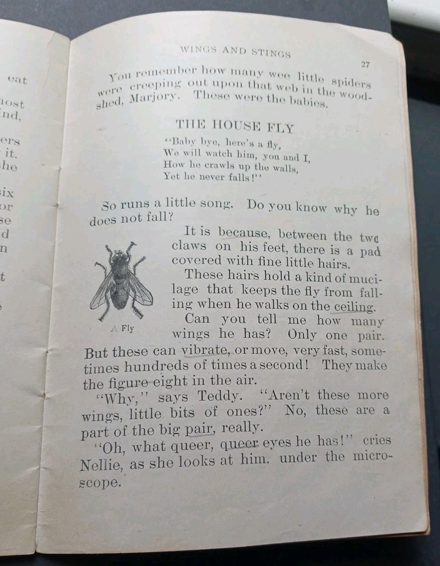 1906 JEAN HALIFAX Wings and Stings dragonfly spider bee teacher manual science