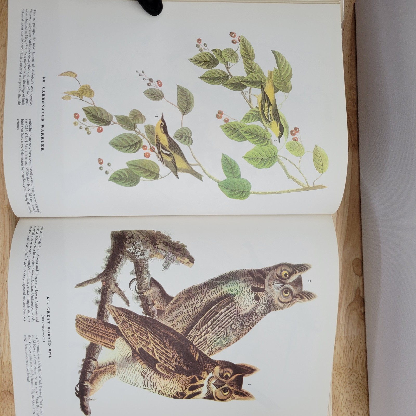 Birds of America John James Audubon 1965 Macmillan 435 Plates Hardcover DJ VG