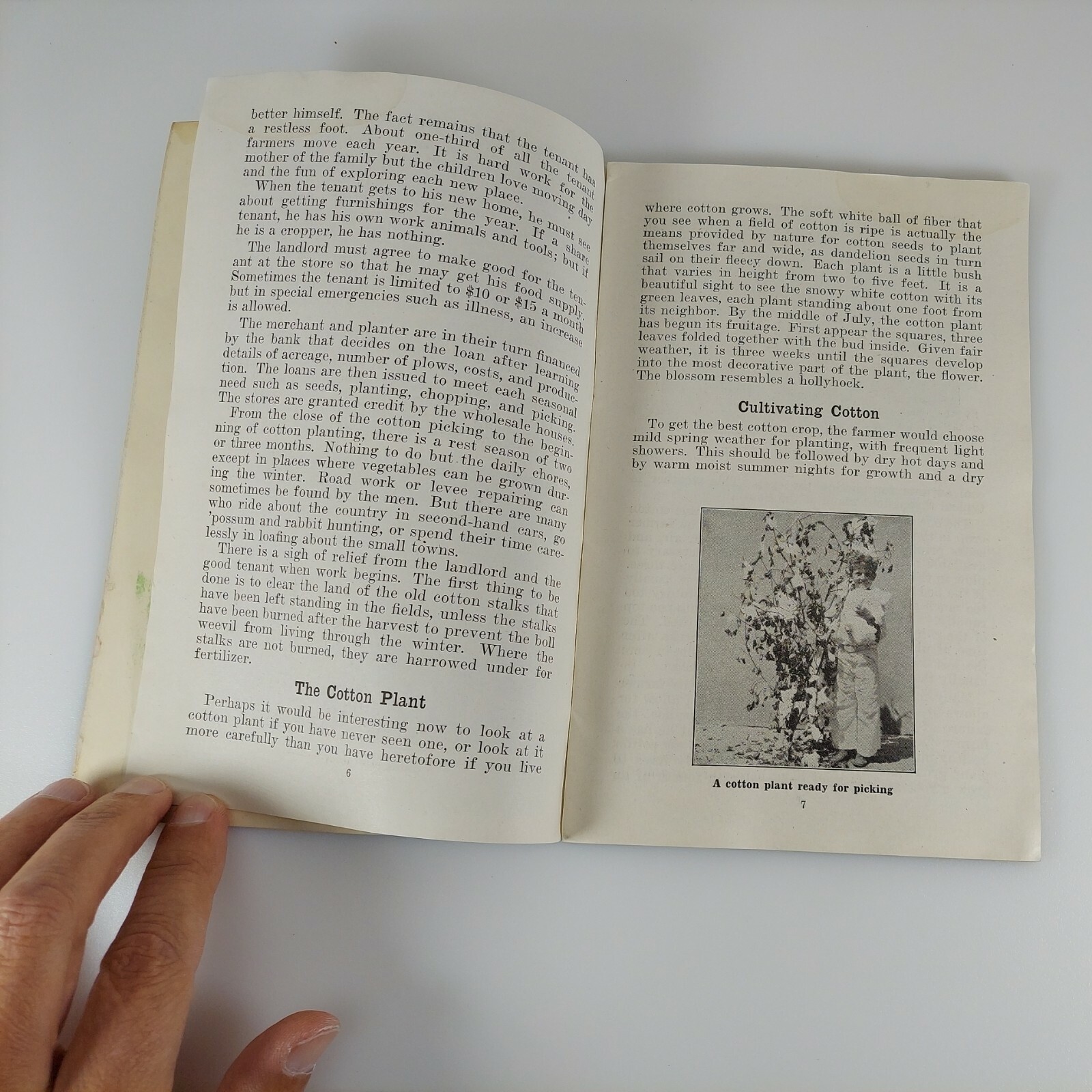 Cotton, Sallie B. Marks, Unit Study Book No. 506, 1942 Education Book