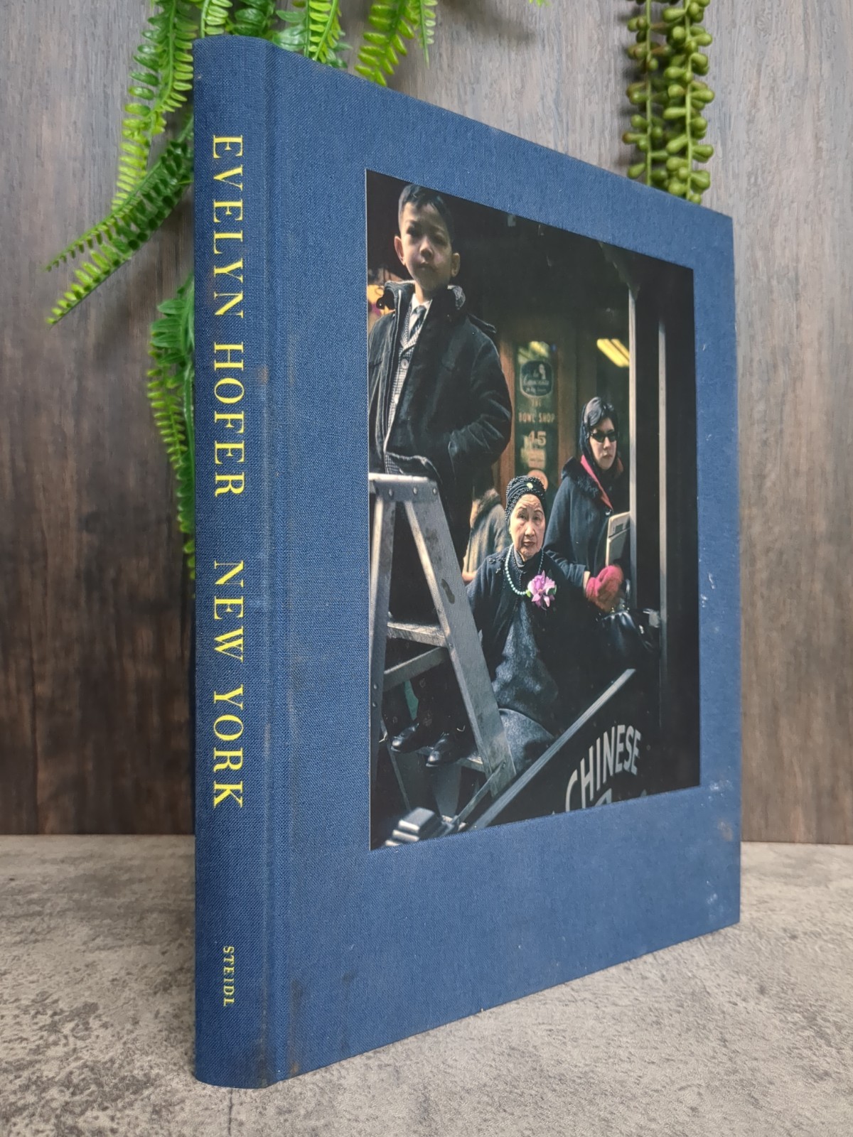 New York Evelyn Hofer 2018 – Steidl – Illustrated