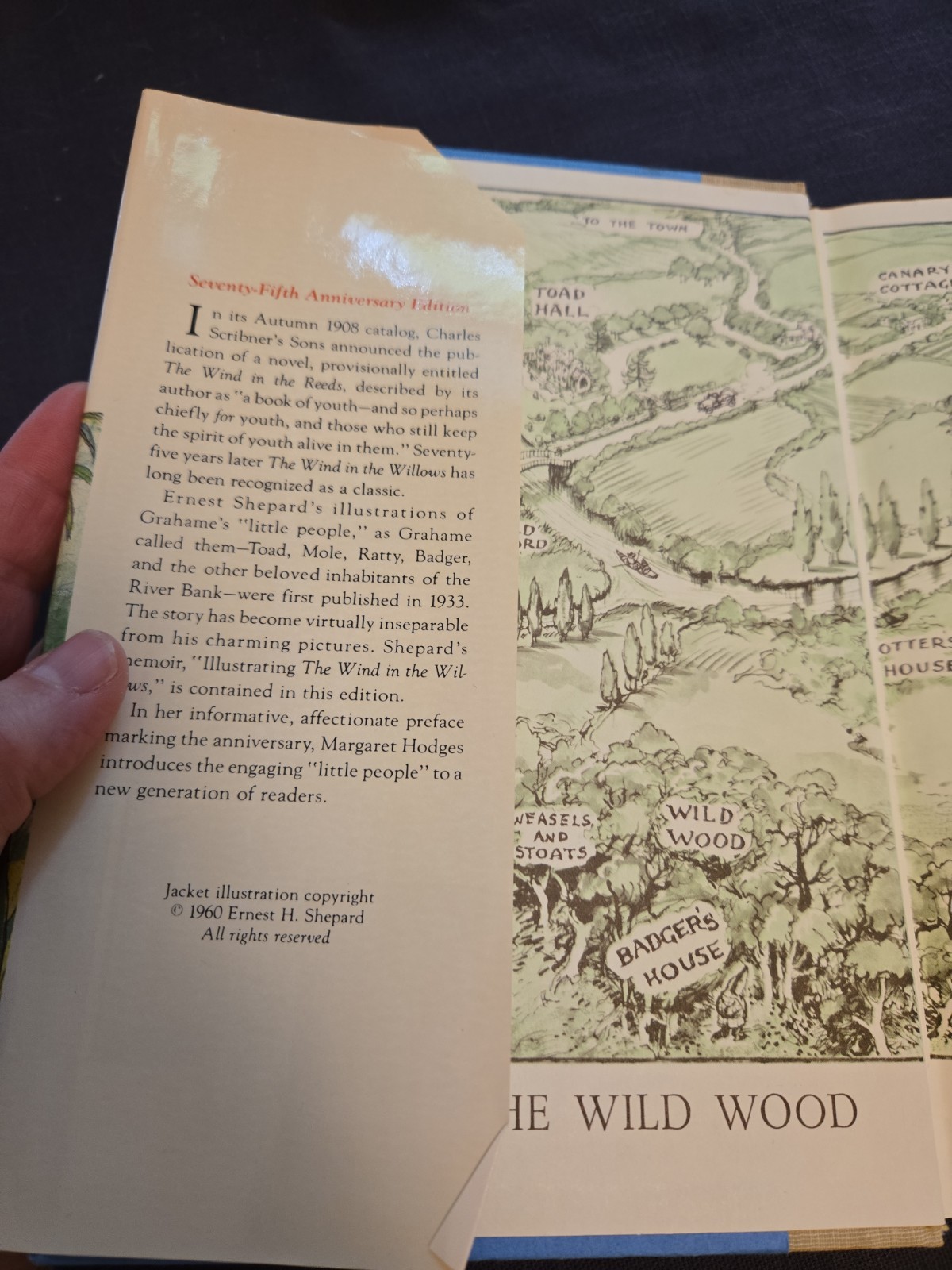 The Wind in the Willows Grahame Shepard 75th Anniversary Edition Scribners nice