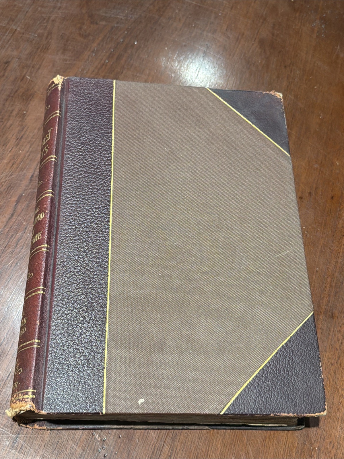 World’s Best Essays Vol. 5, Official Edition, David J Brewer, HC 1900 B-4526