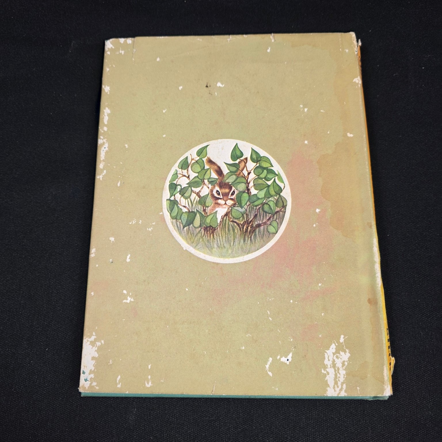 Dilly Dally Theresa Kalab Smith 1961 Illustrated Children’s Book