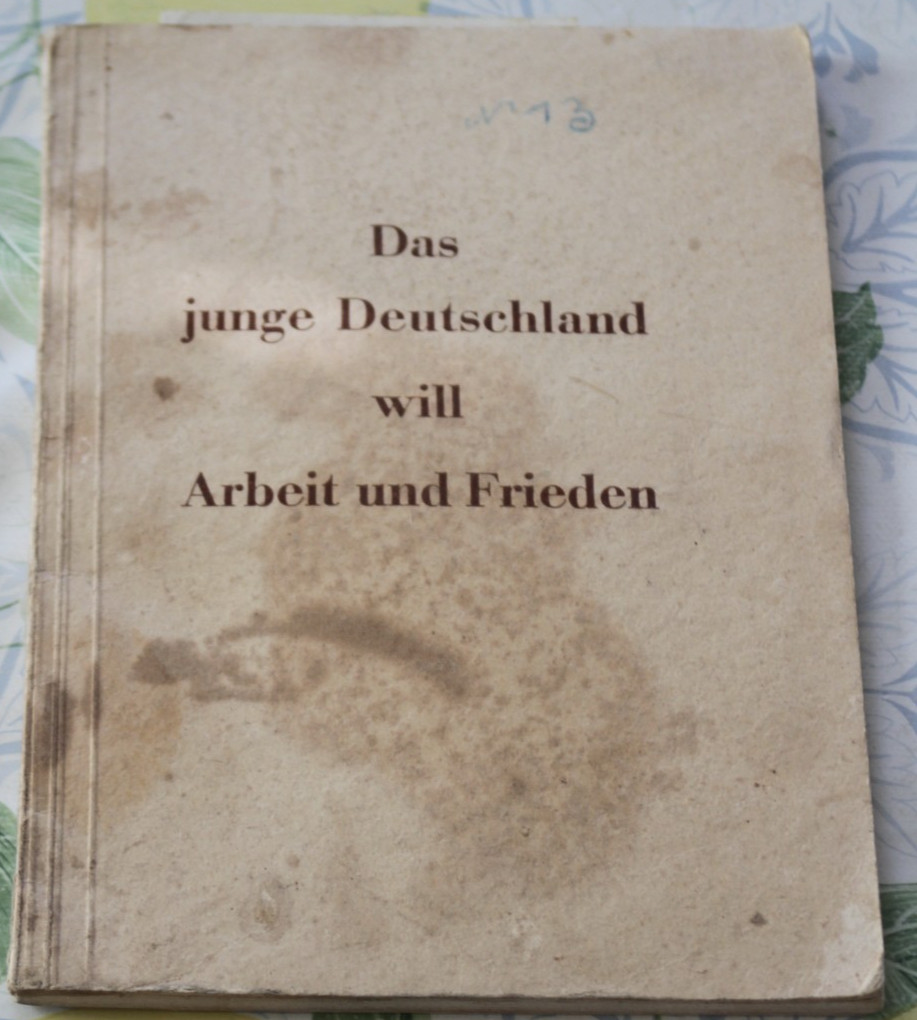 Book Photo Young Germany Wants Work and Peace Talk AM