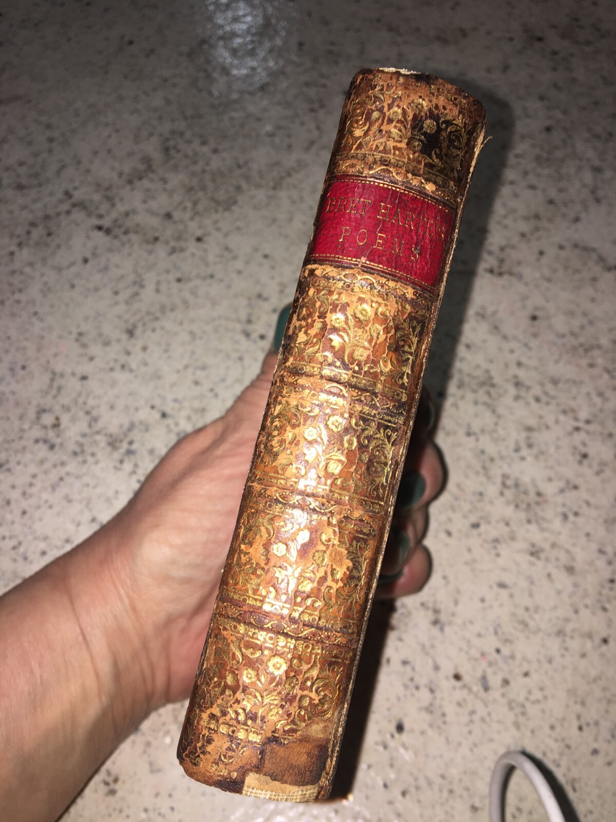 1879 antique book ‚The Poetical Works of Bret Harte‘ Complete edition 336 pgs.~