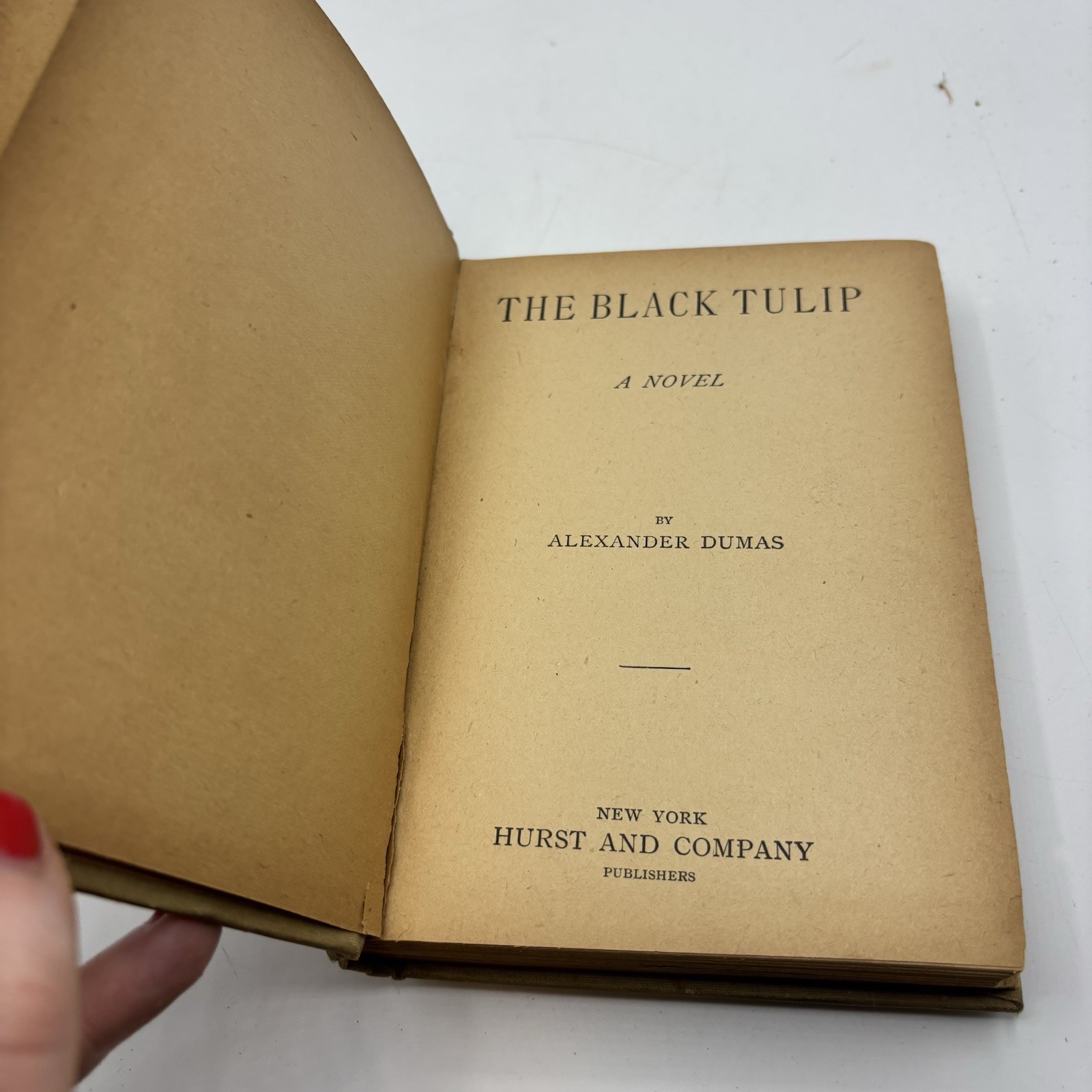 Black Tulip By Alexandre Dumas Late 1800s Floral Cover Vintage Antique Book
