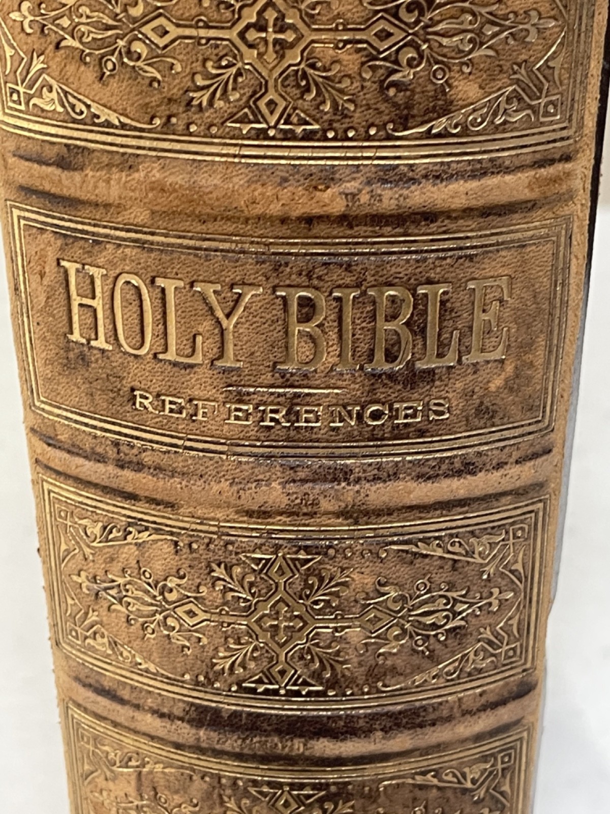 HOLY BIBLE CONTAINING THE OLD AND NEW TESTAMENTS 1880 A. J. Holman & Co.