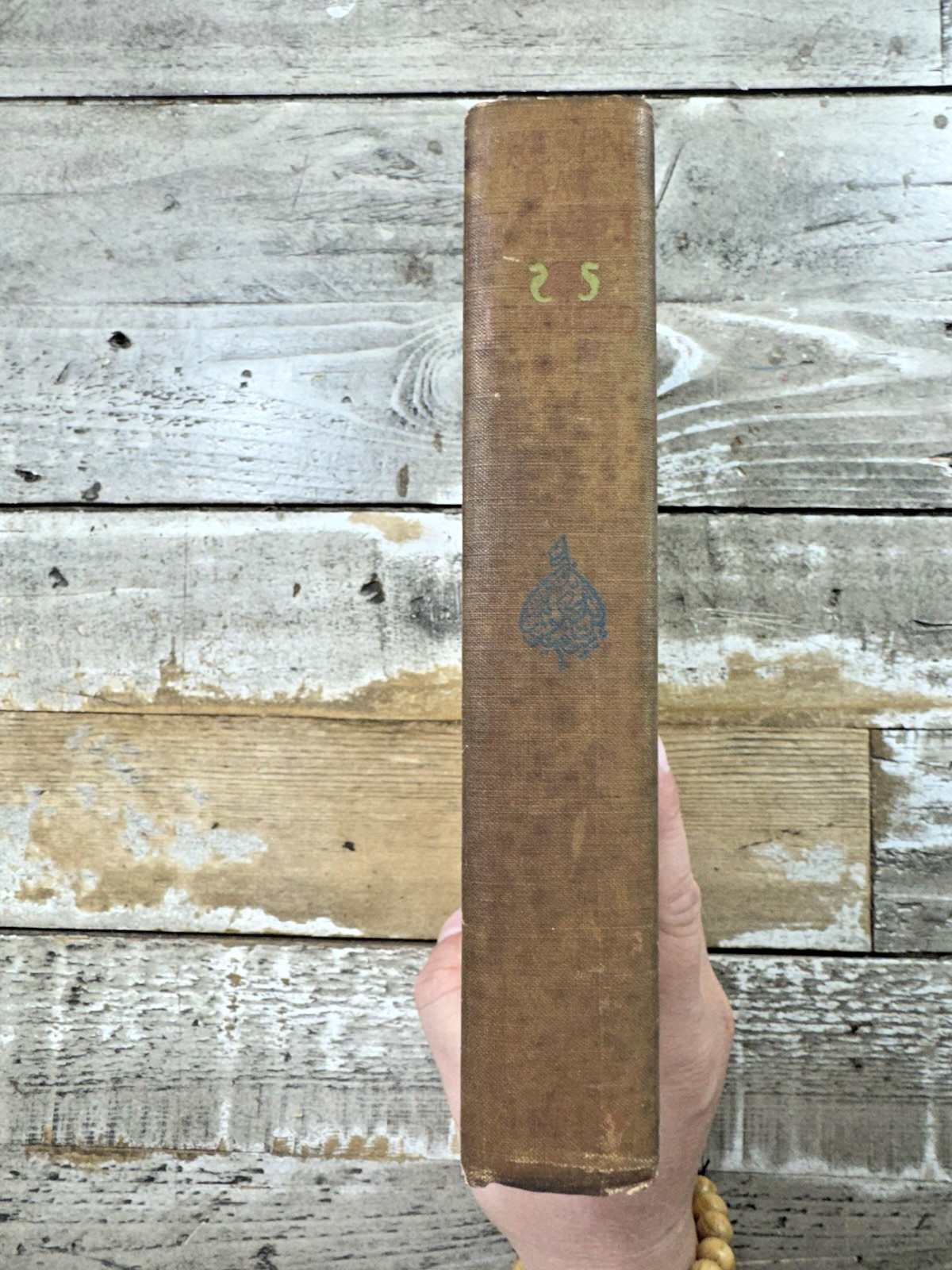 1899 Antique Egypt Book “Present Day Egypt” Illustrated