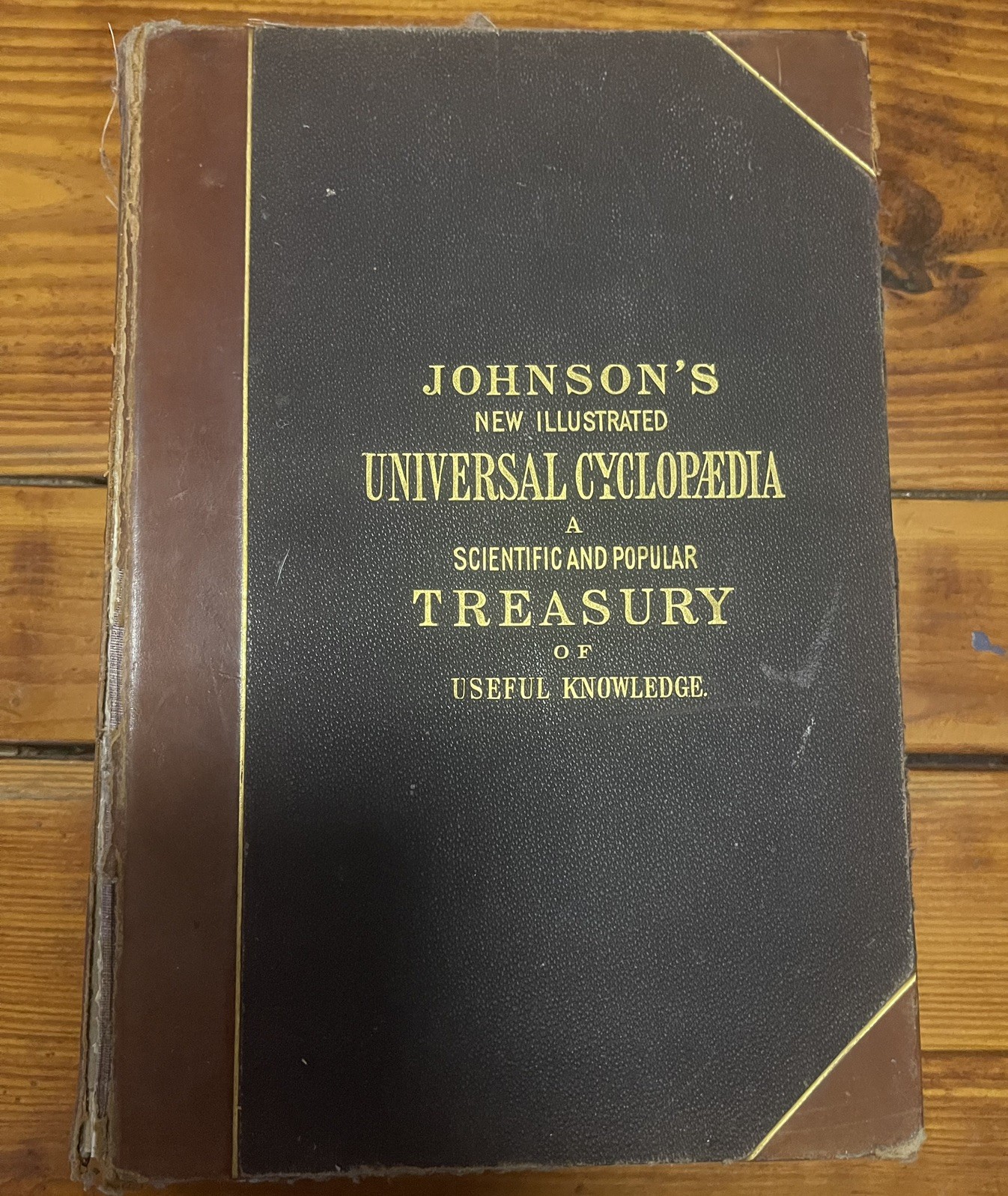 Johnson’s New Universal Cyclopaedia: A Scientific & Popular….4 Vols, 1878
