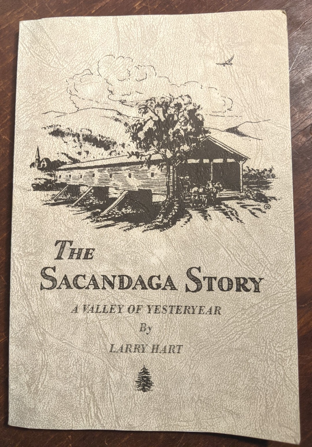 THE SACANDAGA STORY Larry Hart signed 1995 PB Northville Edinburg Fish House Vly