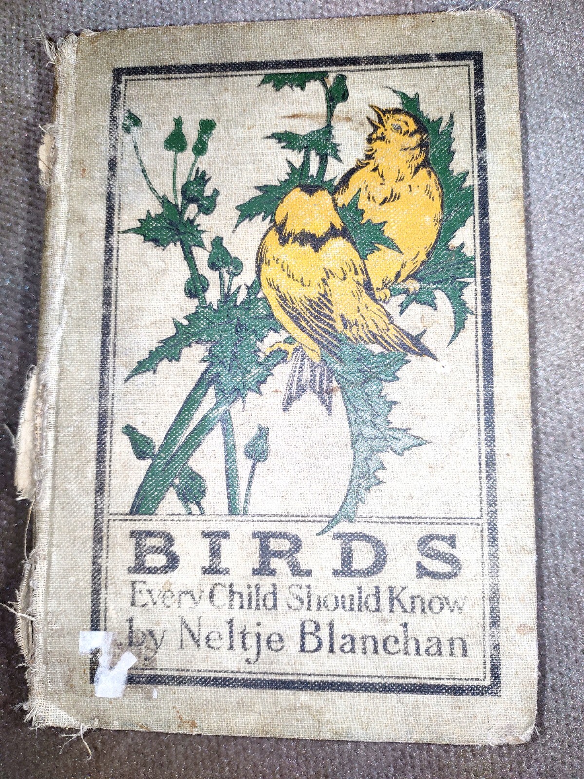 Birds Every Child Should Know Book By Neltje Blanchan 1907 Hardcover