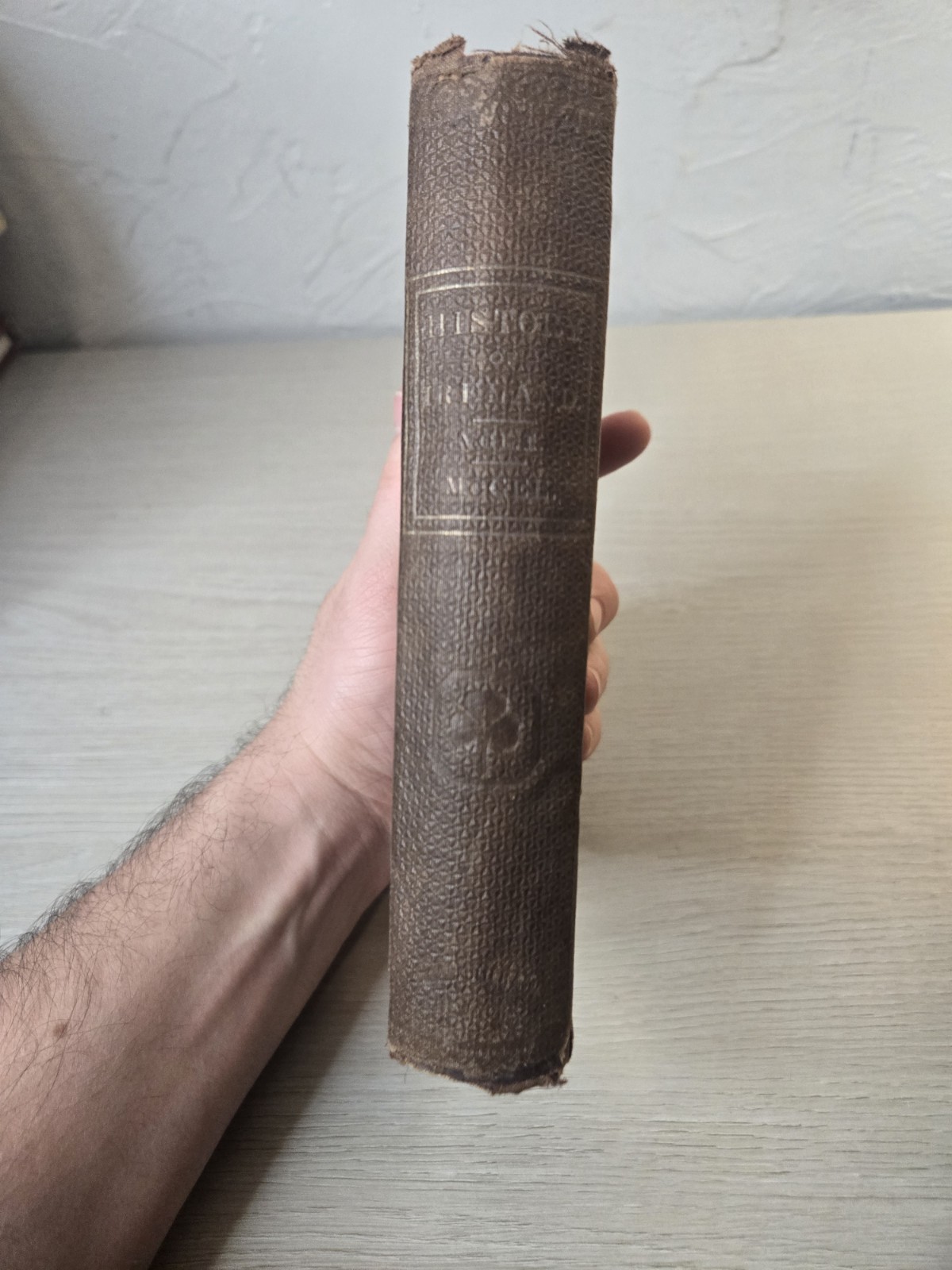 A Popular History Of Ireland, Thomas Darcy Mcgee, 1864, Vol. I J28