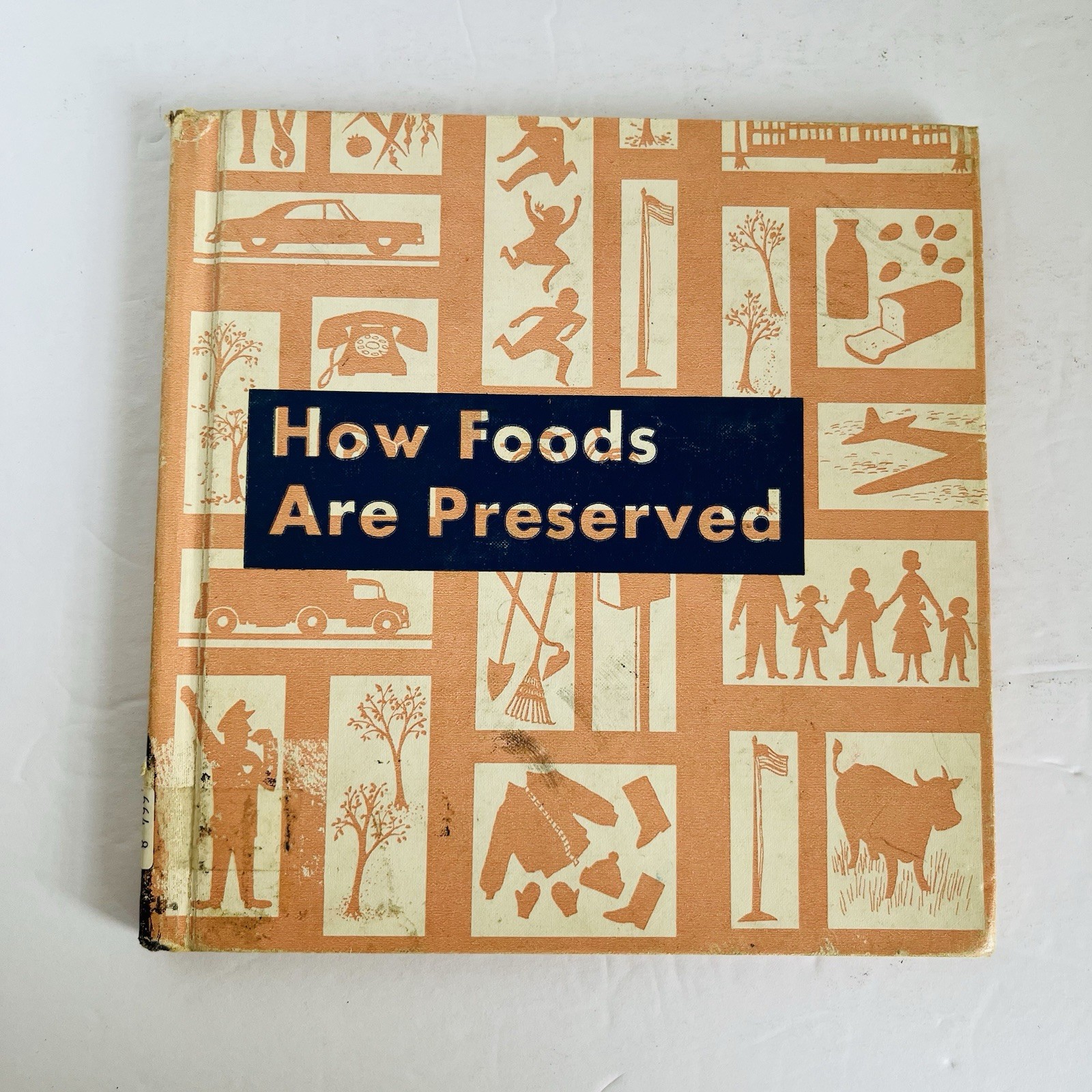 Vintage Children How Foods are Preserved Mid Century Science Art Marjorie Banks