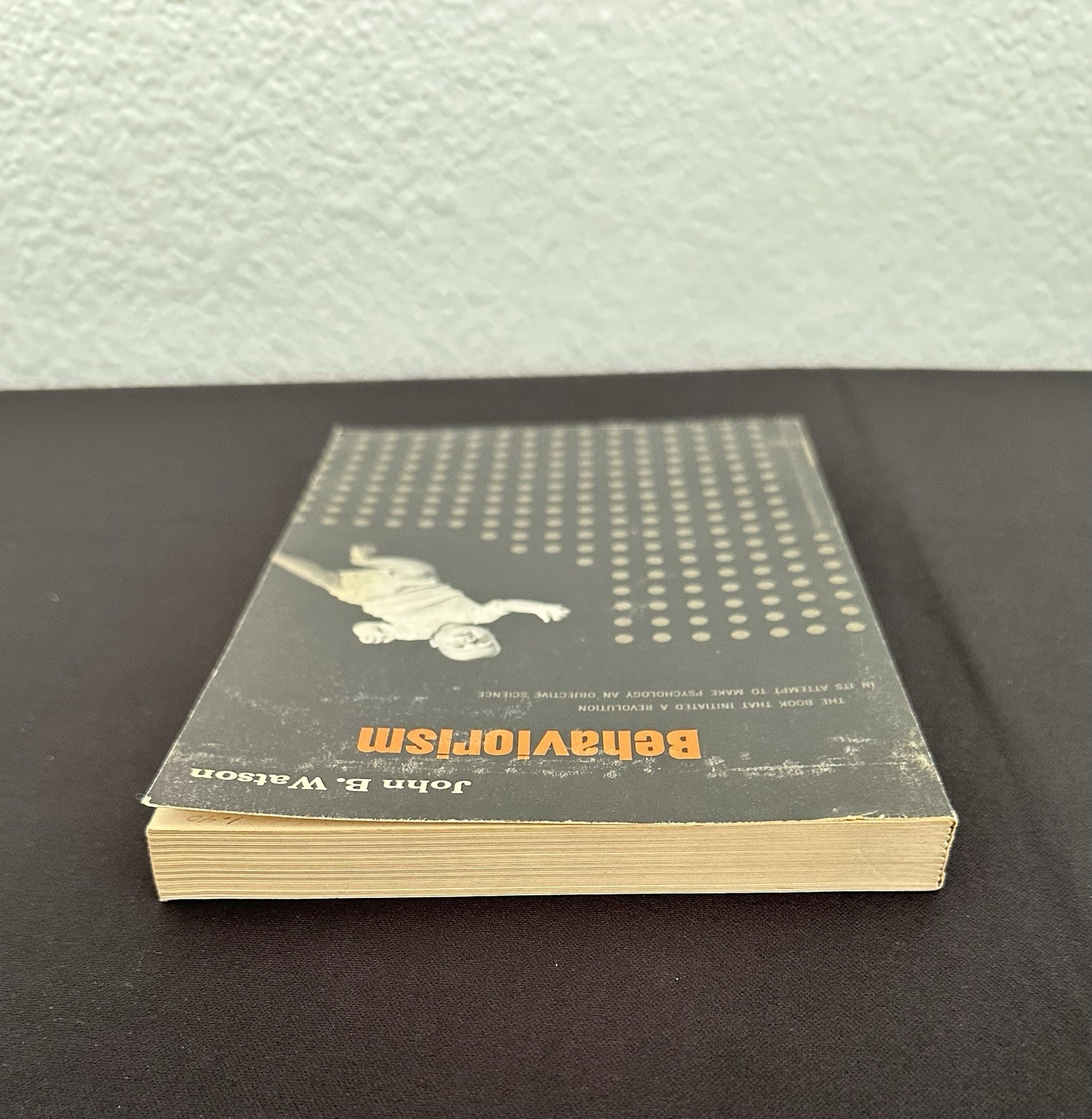Behaviorism John B Watson Phoenix Books c1960s VG Psychology Classic