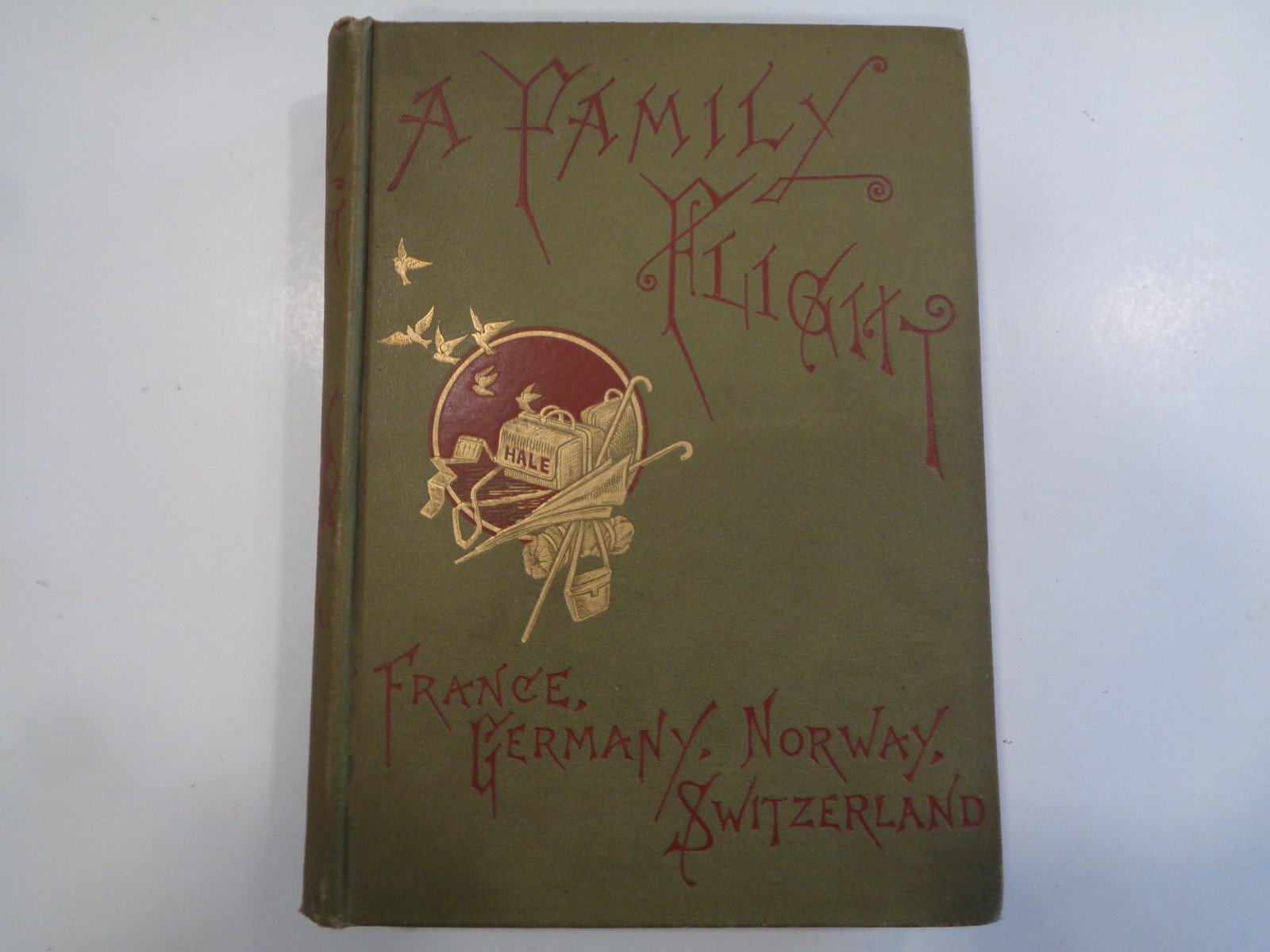 A Family Flight – France, Germany, Norway and Switzerland 1882 Hale Antique Book