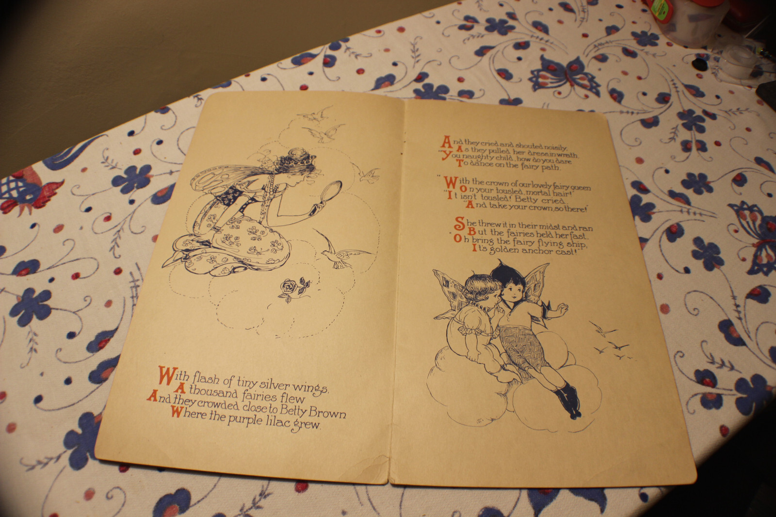 The Betty Fairy Book-1915-#300-Stecher Lith. Co.-Margaret Evans Price