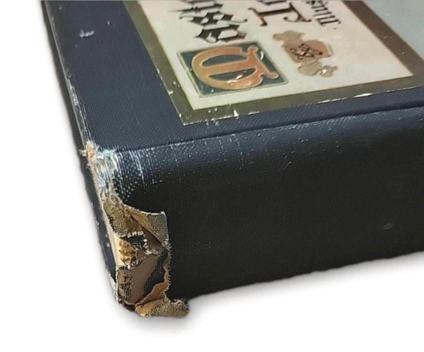 Master Skylark John Bennett Illustrated Hardcover Ephemera Vintage 1922 Htf