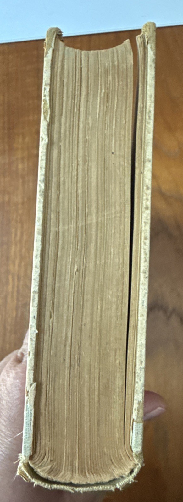 Virginia Woolf The Common Reader 1925 – 1st Edition Hogarth Press