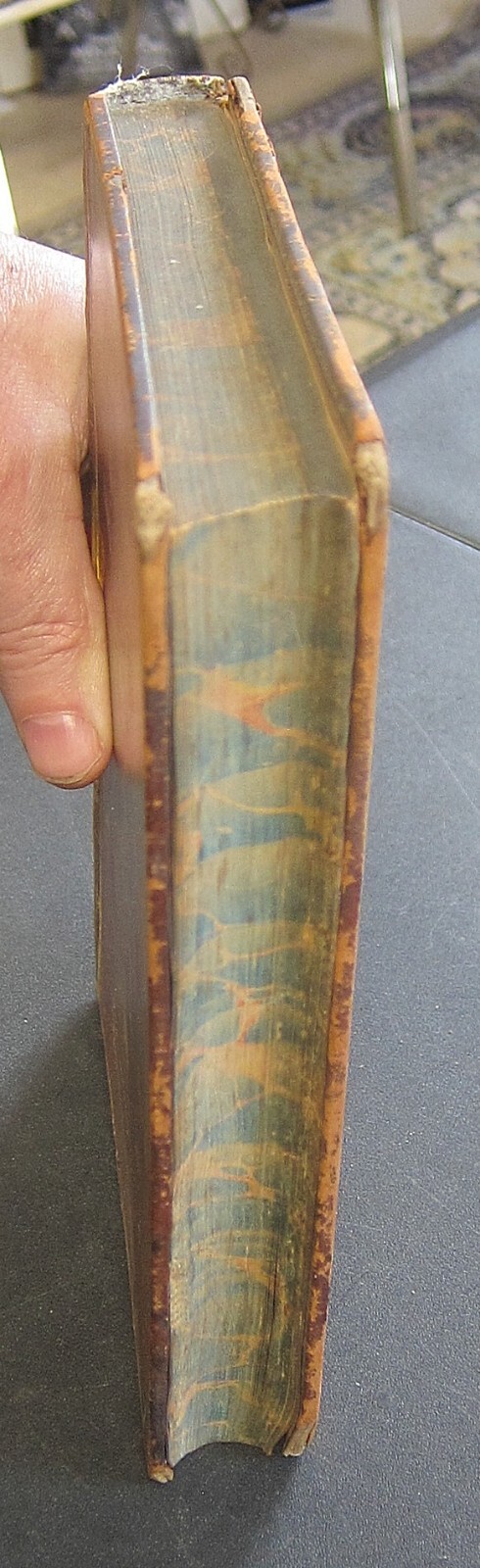 Memoirs of the Court of King James the First Vol. I ~ Lucy Aikin 1822 Leather