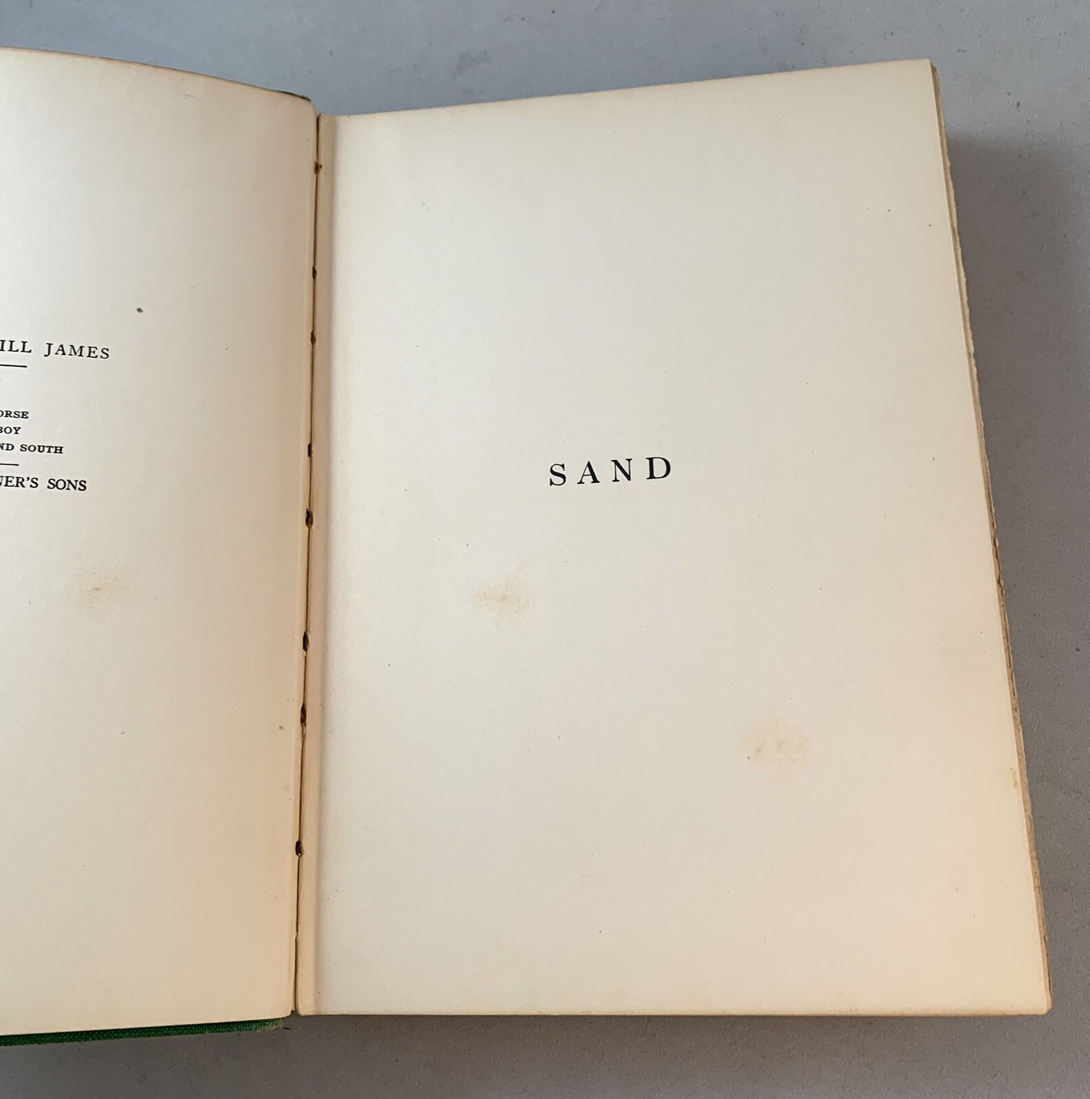 Sand-Will James-TRUE First Edition/1st Printing!-ALL Points Present!-1929!-RARE!