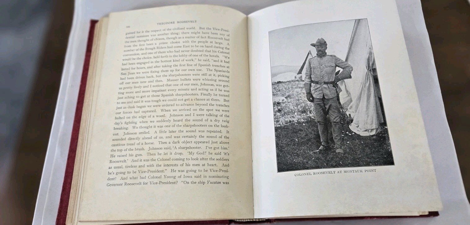 Antique Theodore Roosevelt Patriot And Statesman Robert Meyers 1901 HC