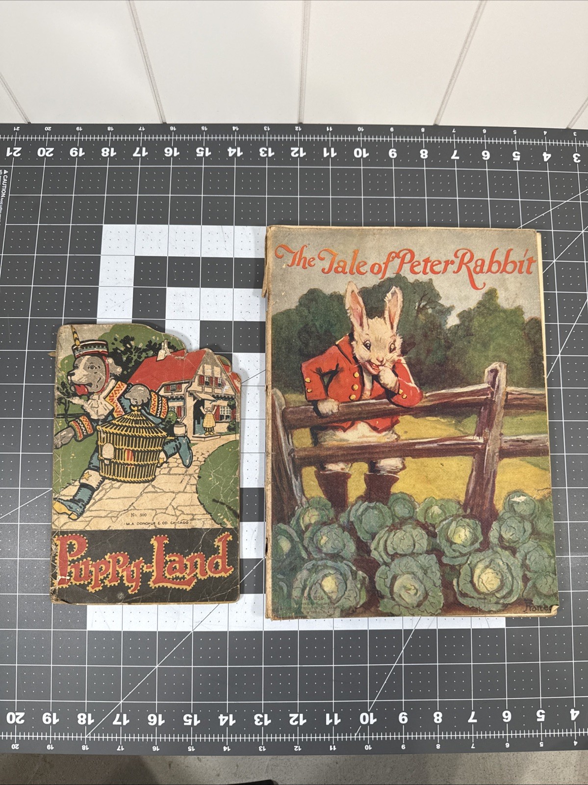 Lot Of 2 Antique Soft Cover Children’s Books-The Take Of Peter Rabbit/Puppy-land