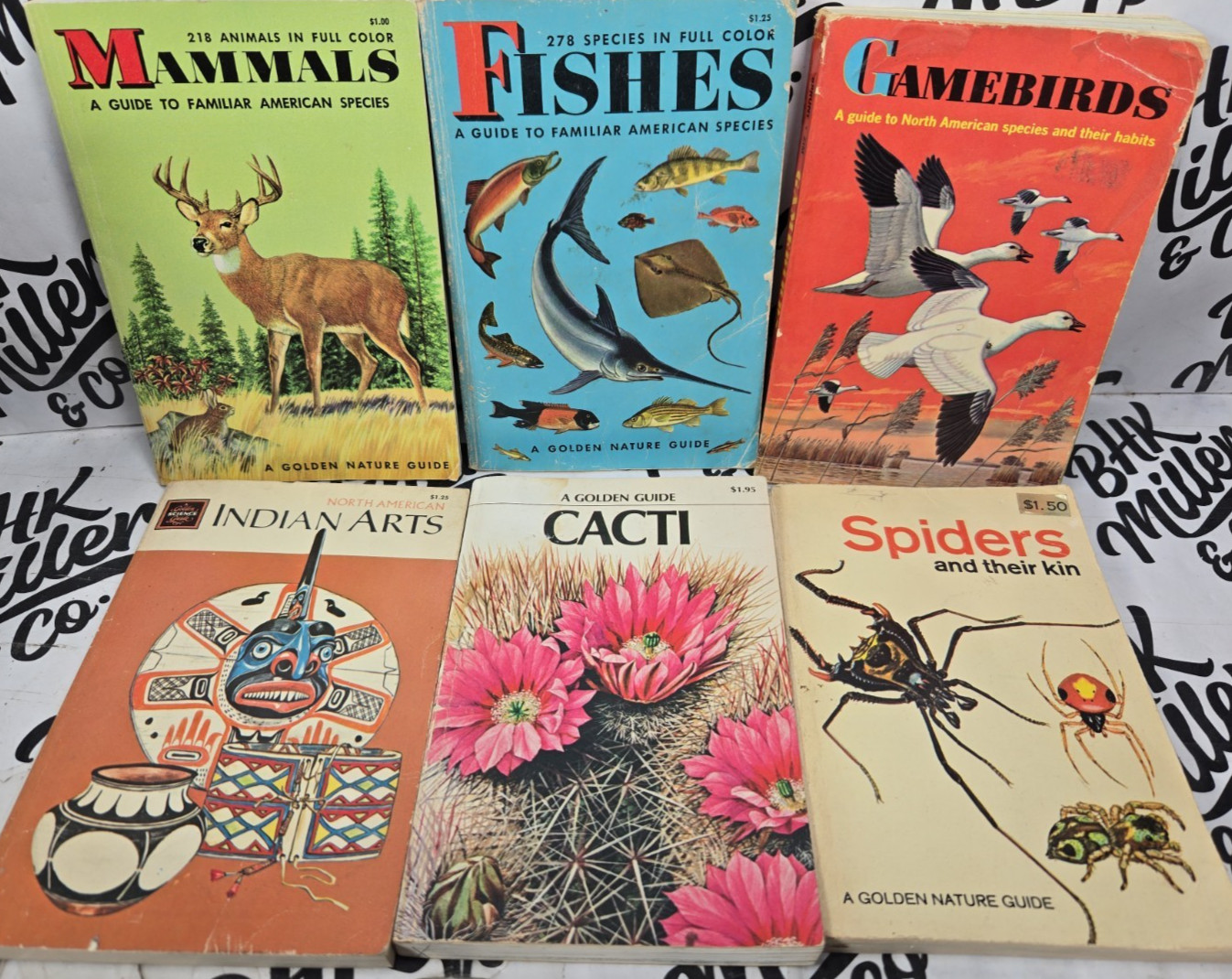 Vintage Golden Nature Guide Book Lot of 6 Mammals, Fishes, Gamebirds, Spiders…