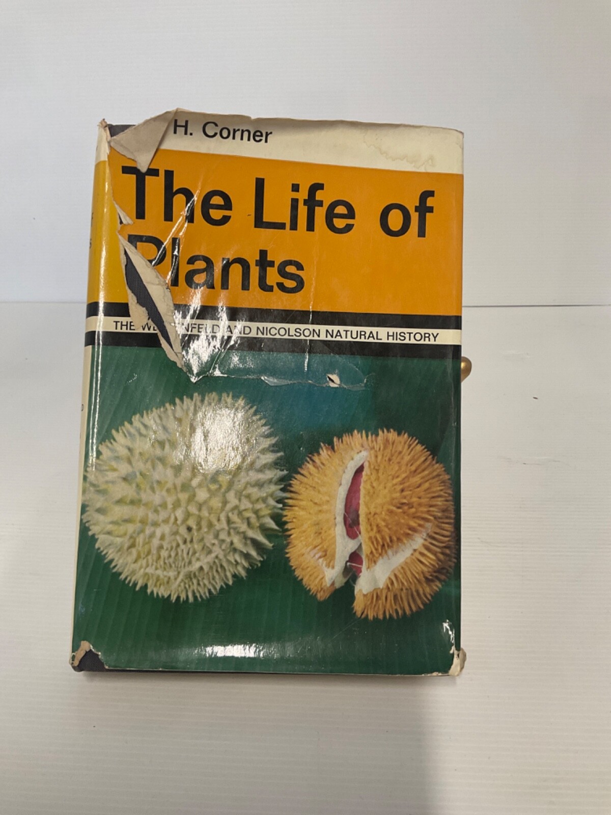 The Life of Plants (E. J. H. Corner – 1964) (ID:21824)