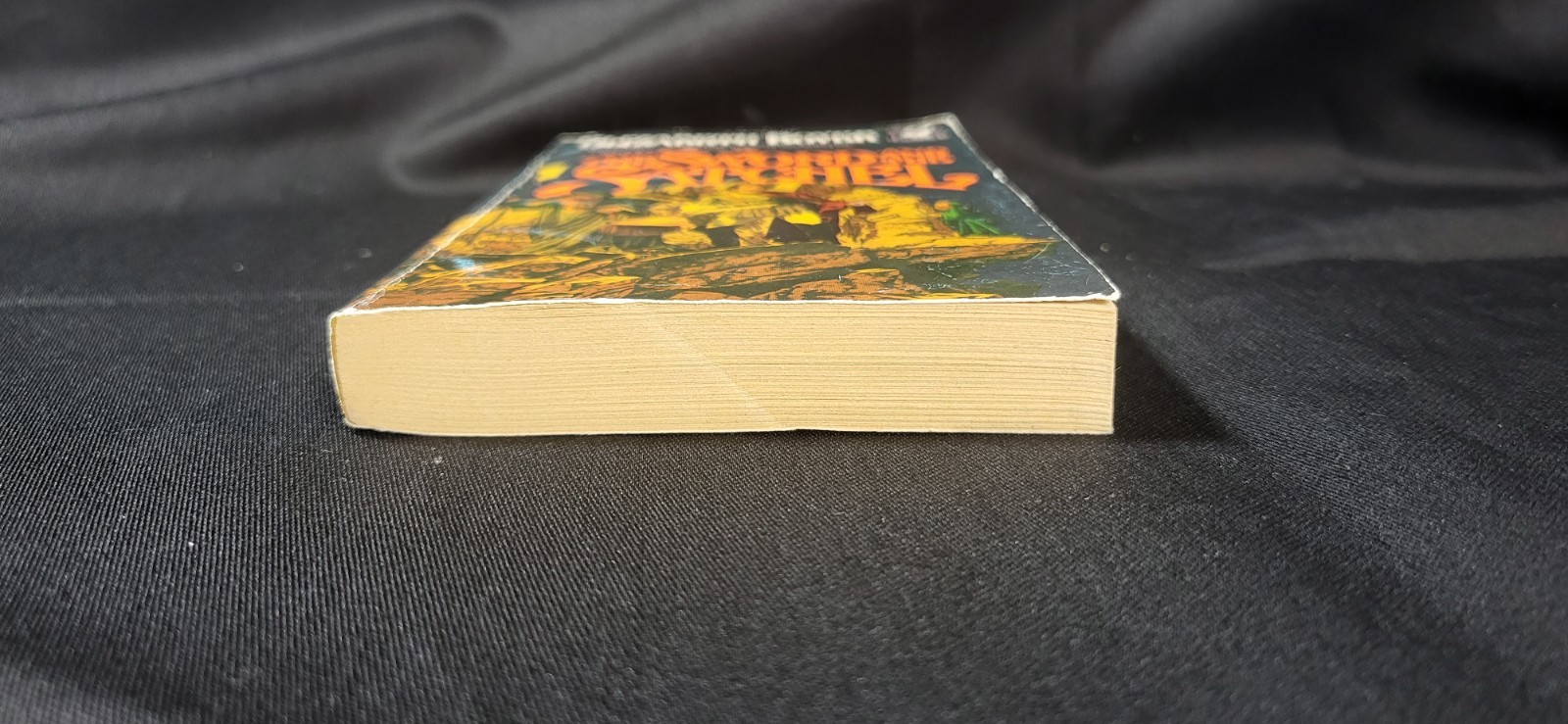 The Sword and the Satchel by Elizabeth Boyer 1980 Del Rey 1st Printing Paperback