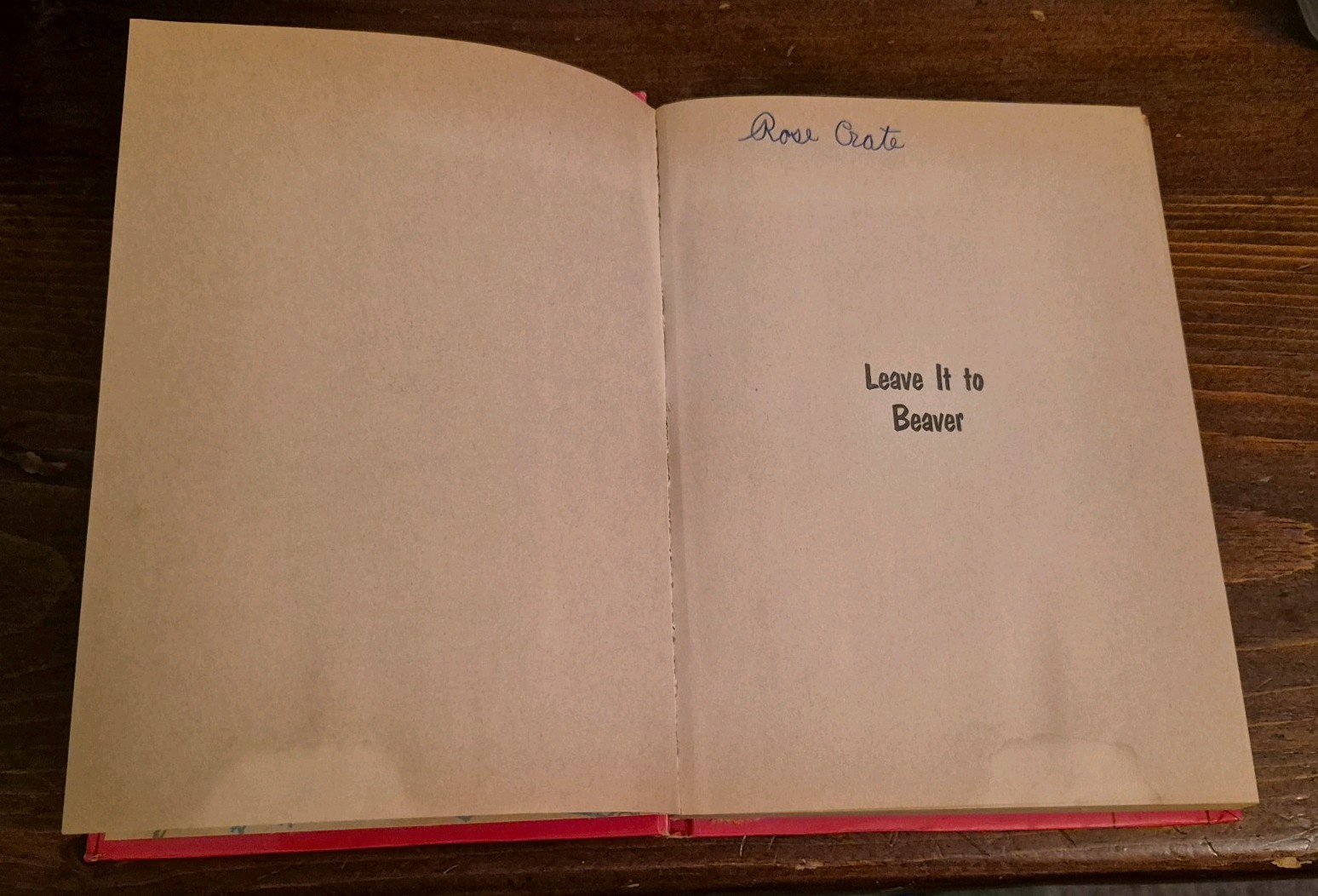 1962 Vtg Hardcover Leave It To Beaver : Fire by Cole Fannin Whitman Publishing