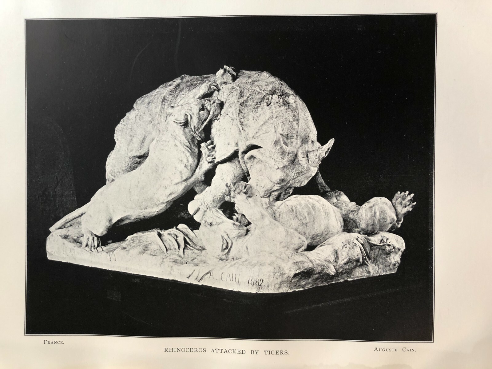 Modern Art Creations „Rhinoceros Attacked by Tigers“ Auguste Cain Print