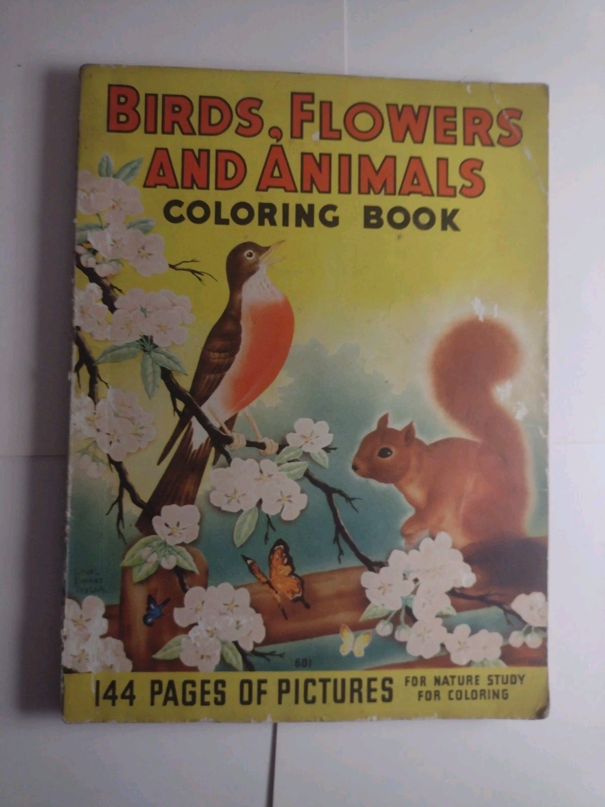 1938 BIRDS, FLOWERS and ANIMALS Coloring Book, (Used Coloring Book) 144 PAGES