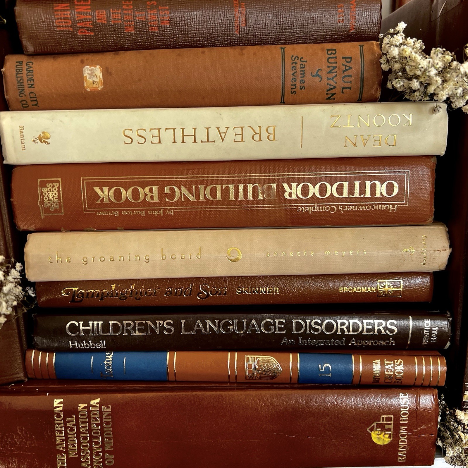 Vintage Book Lot | BROWN Colors | Library Bookshelf Decor | Old Library Staging