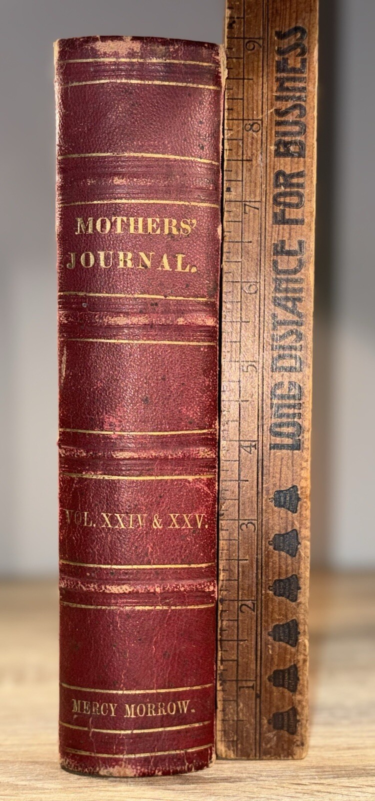 Rare 1859 Leather Hardback The Mother’s Journal Family Visitant Women Wife Book