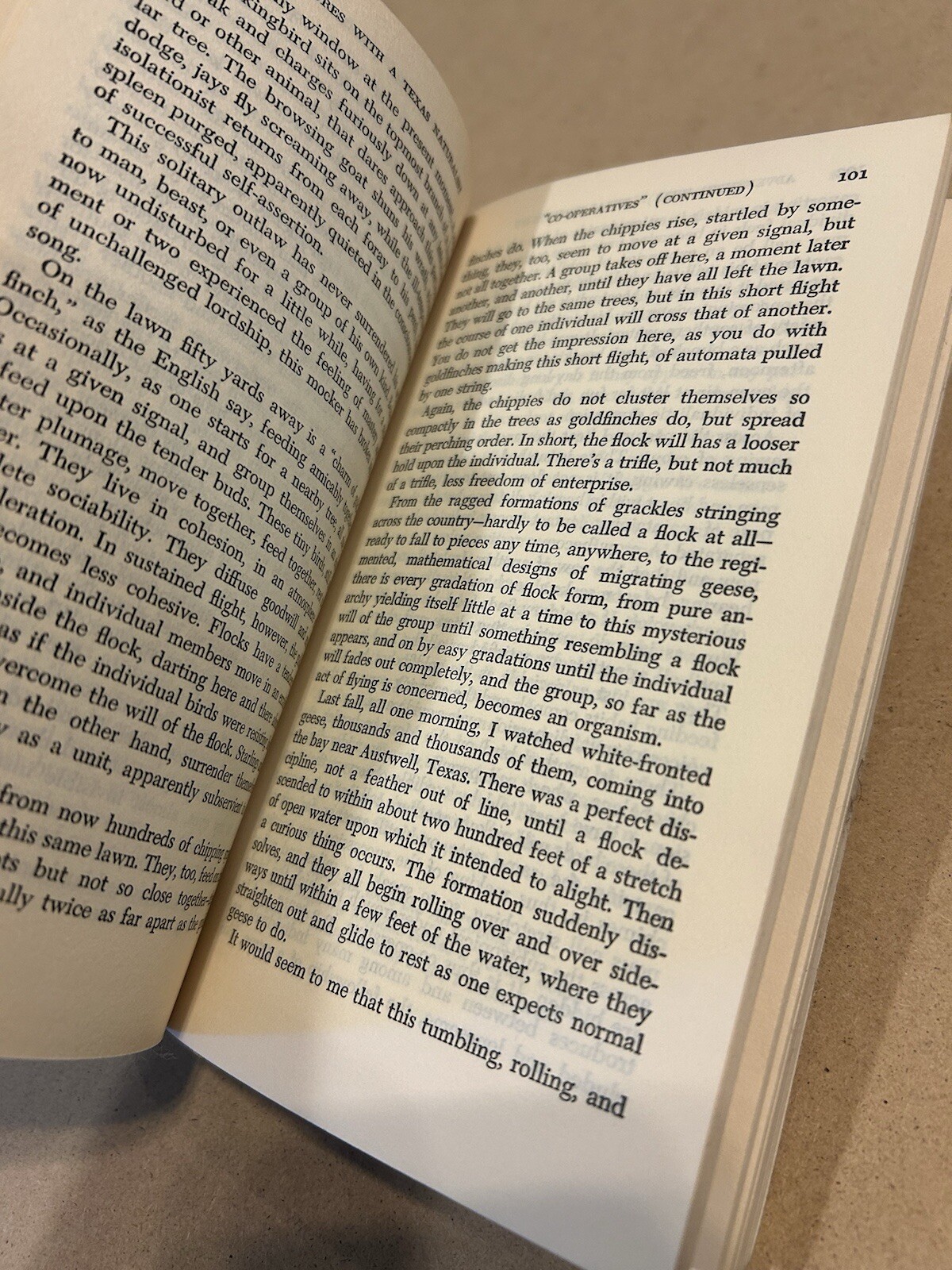 Adventures with a Texas Naturalist By Roy Bedichek – 1961 Great Condition Vtg