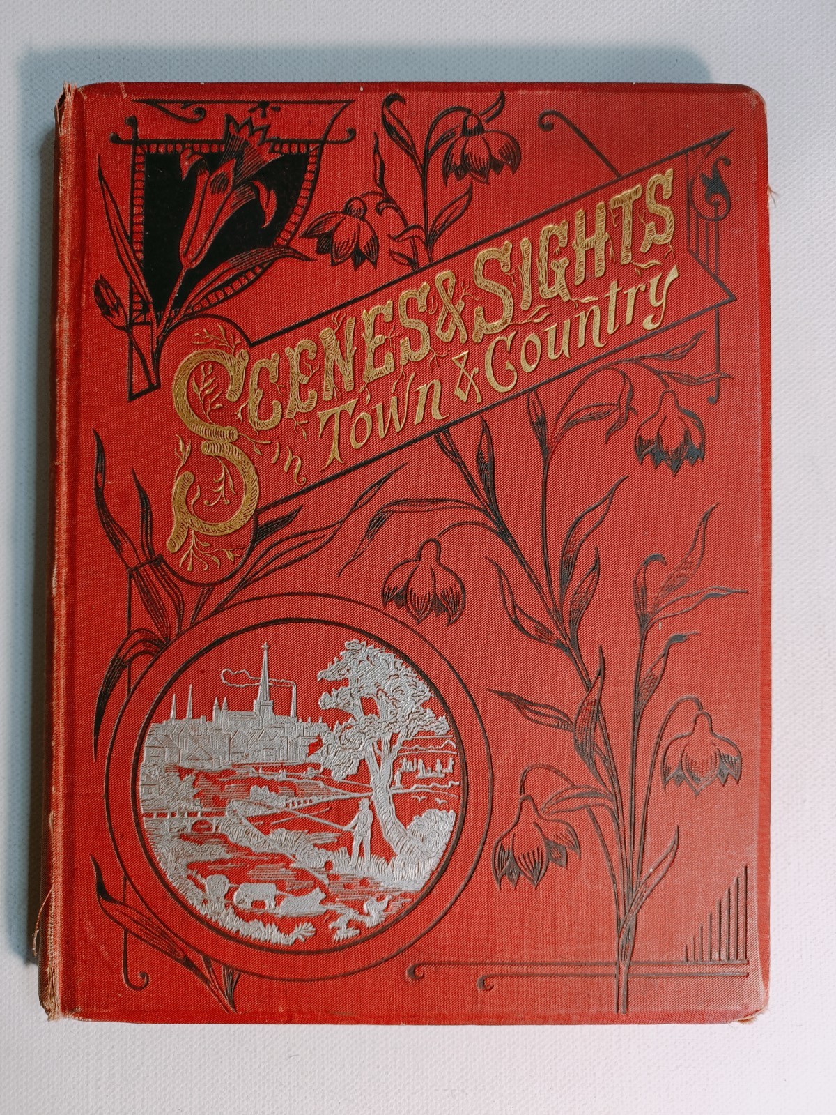 Scenes And Sights In Town And Country Illustrated hardback c1888 Joseph Toulson