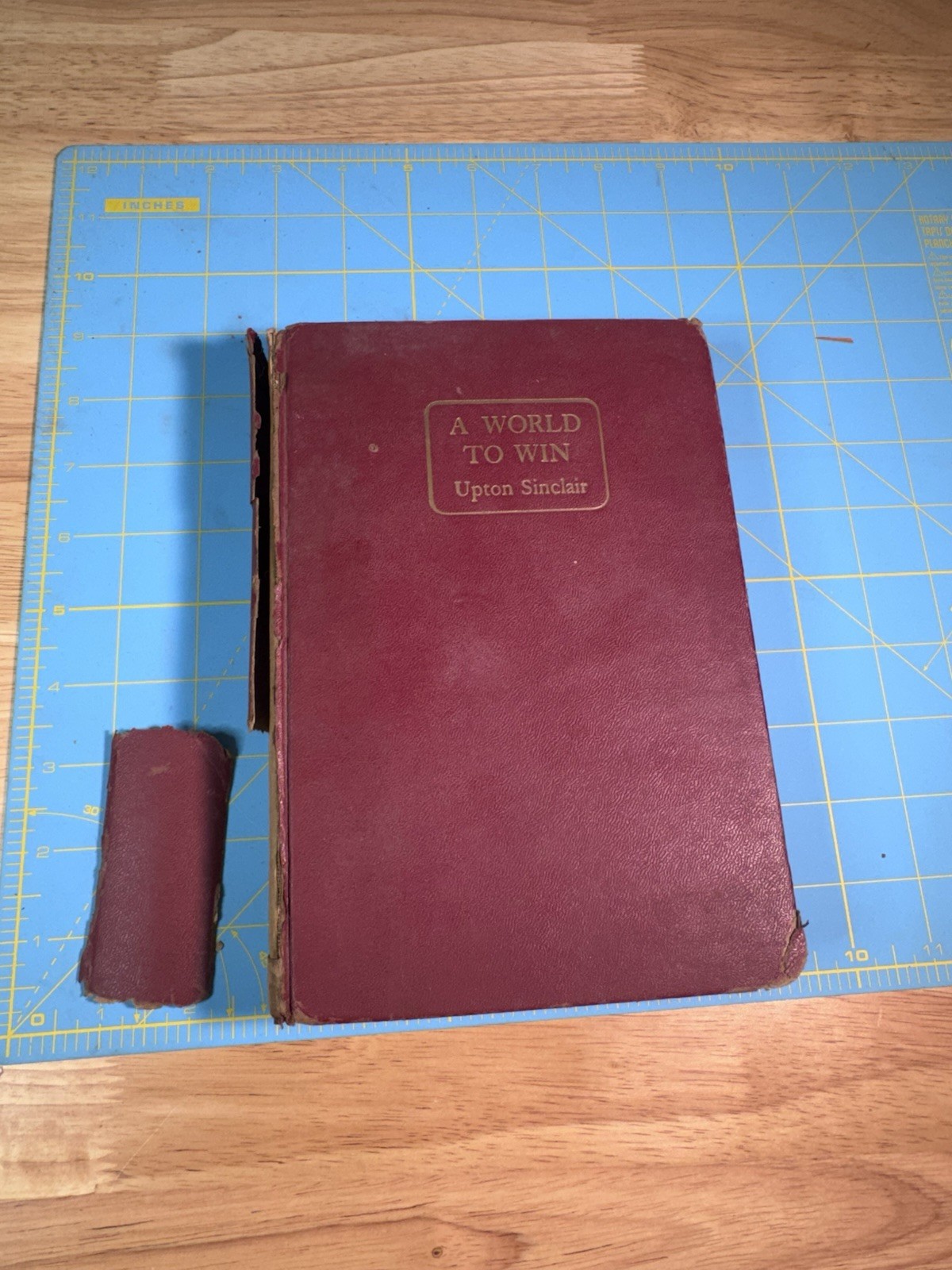 A World to Win – Upton Sinclair (First Edition, 1946, Viking Press)