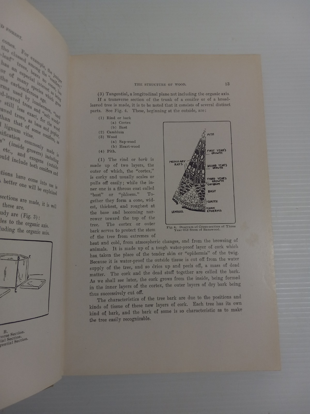 Wood and Forest by William Noyes Educational Vtg 1912 HC Vtg Manual Arts Press