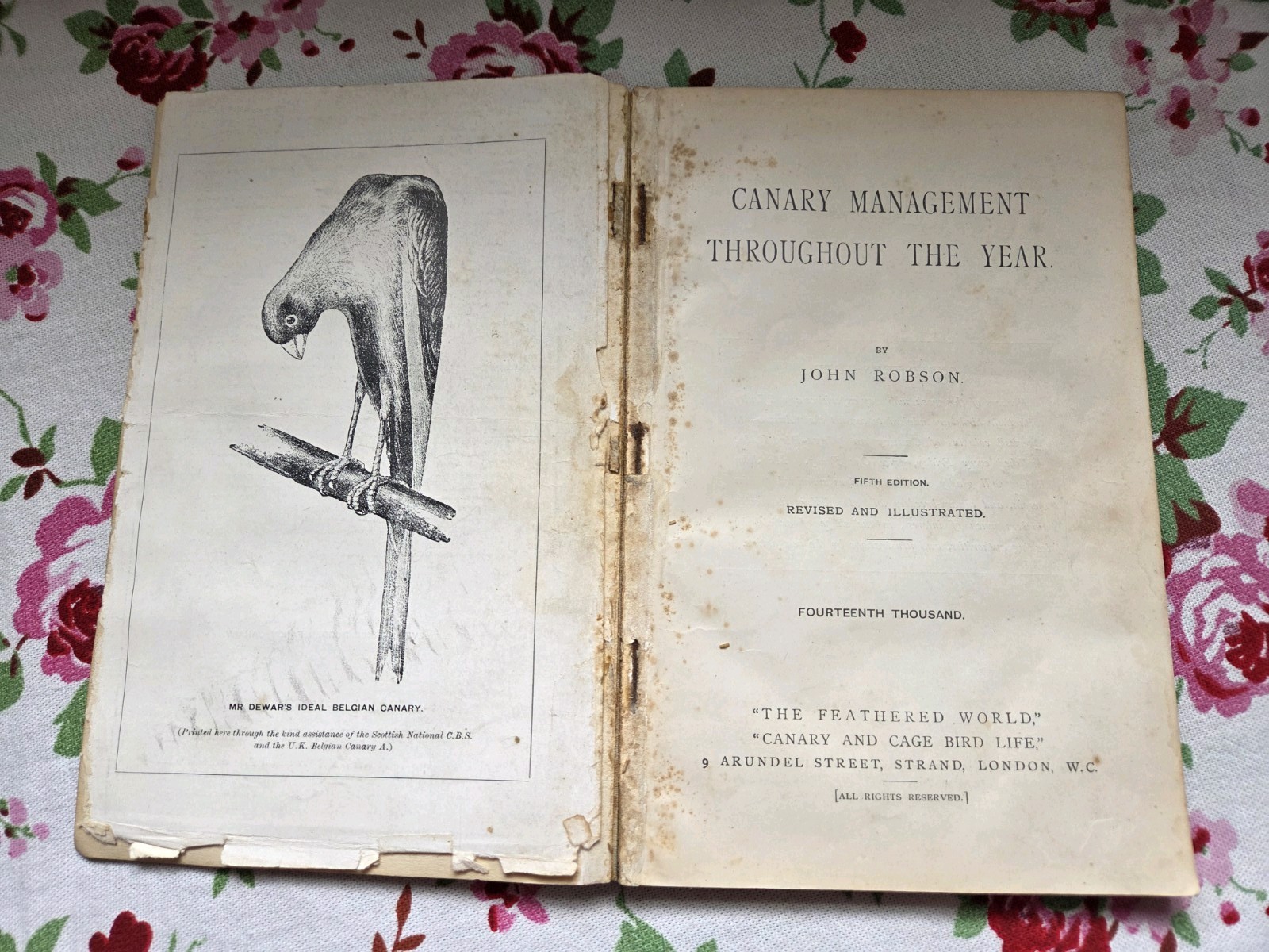 Antique ‚Canary Management Throughout The Year‘ By John Robson Hardback Book