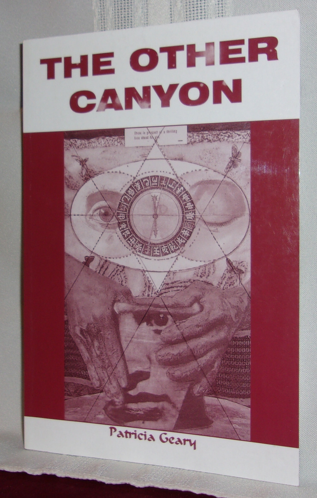 Patricia Geary THE OTHER CANYON First edition As New Urban Fantasy Literary