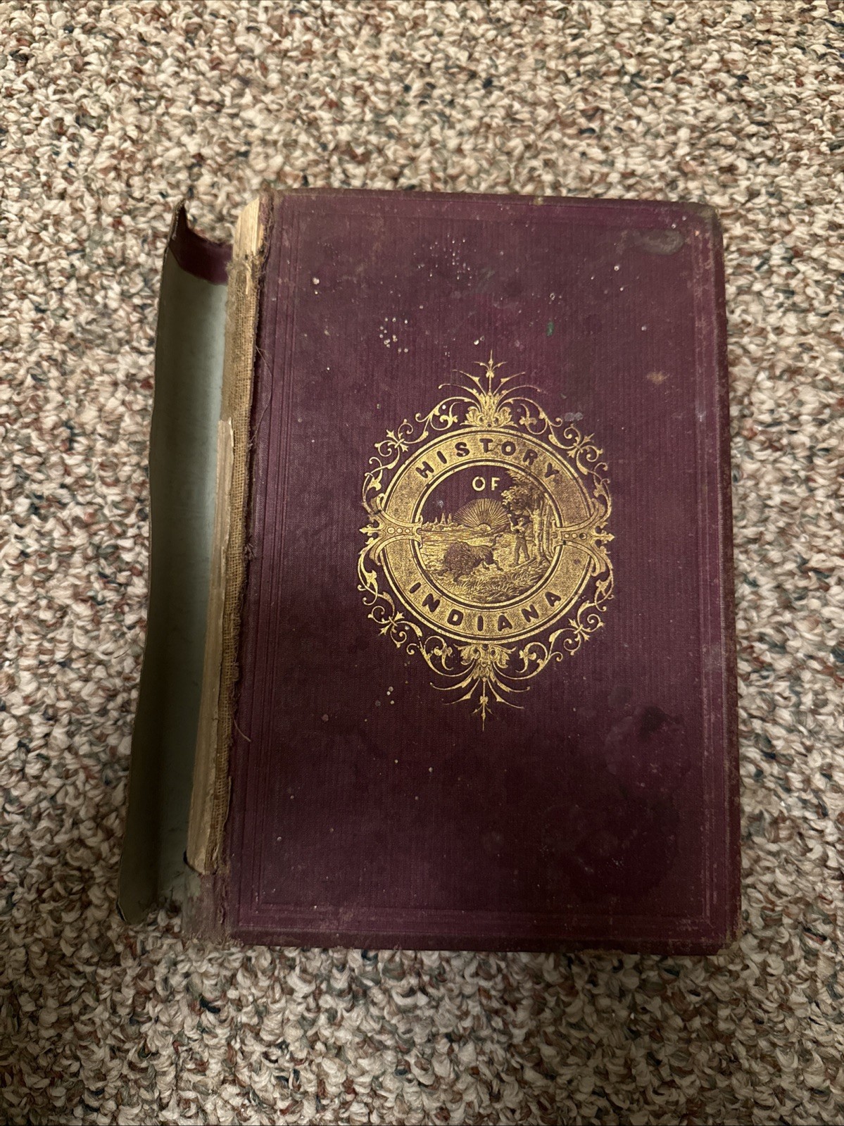 1875 Illustrated History State of Indiana Goodrich Tuttle Genealogy Antique Book