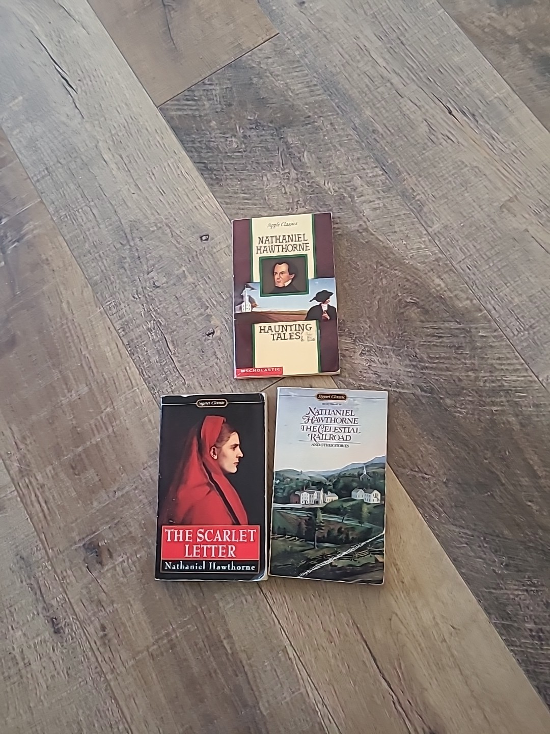 3 Nathaniel Hawthorne Paperback Book Lot Signet Classics