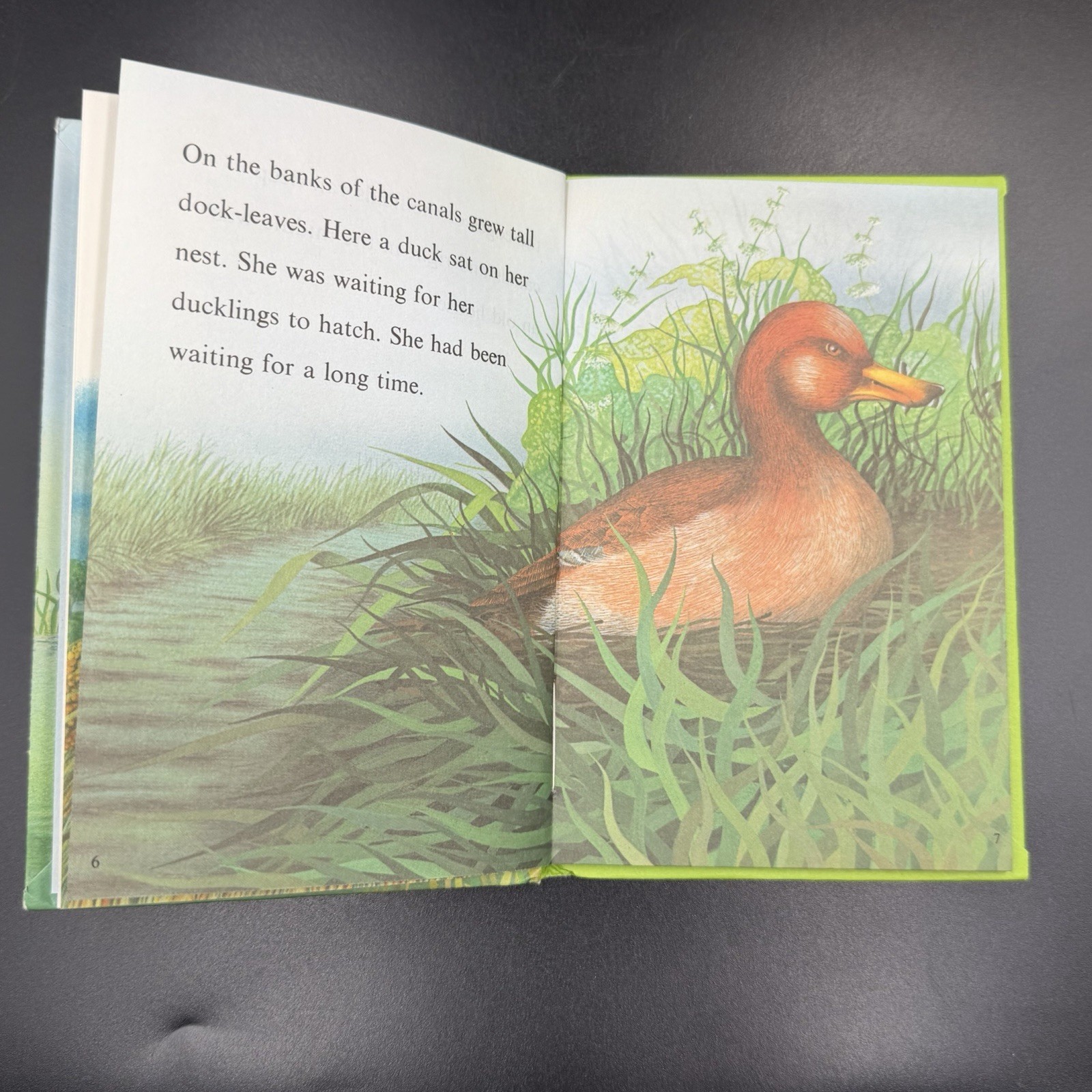 Vintage Ladybird The Ugly Duckling Well-Loved Tales Series 606D 1979 VGC RARE