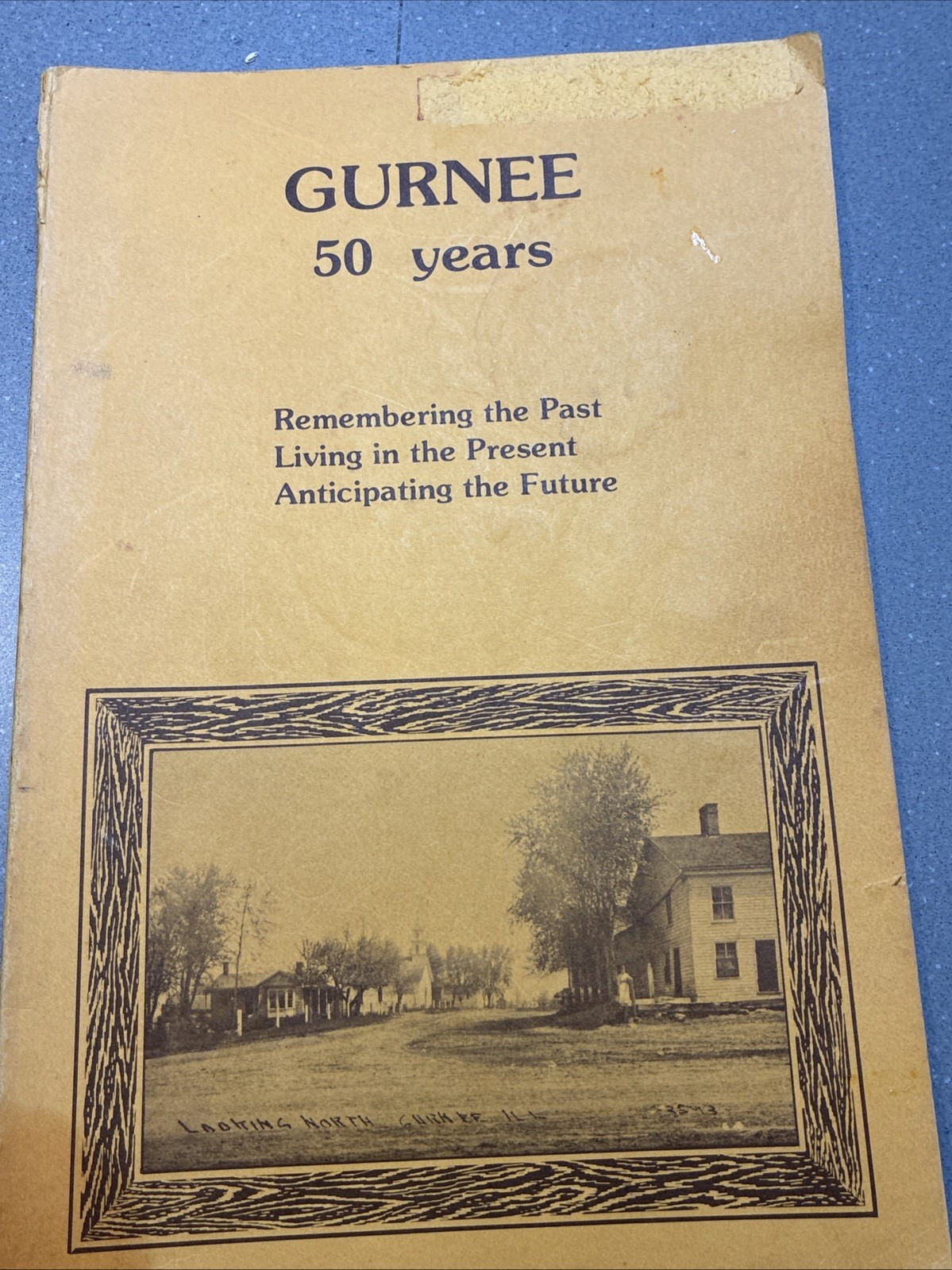 Rare 1978 Village of Gurnee Hisorical PB Past Present Future Signed Mayor Wilton