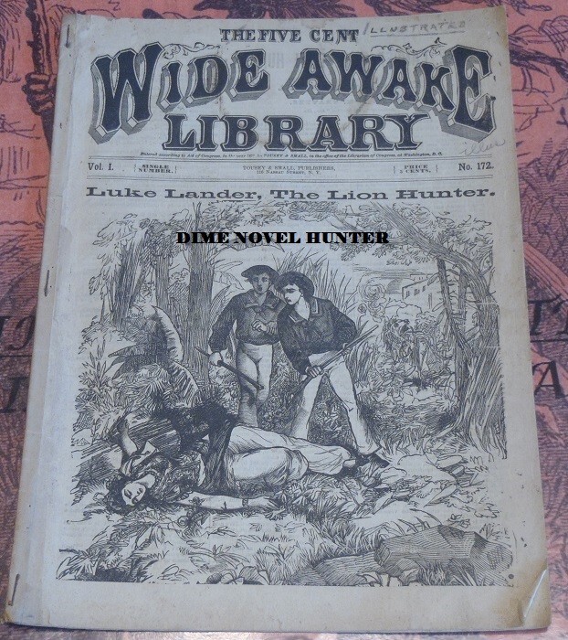 1878 FIVE CENT WIDE AWAKE LIBRARY #172 EARLY FRANK TOUSEY DIME NOVEL STORY PAPER